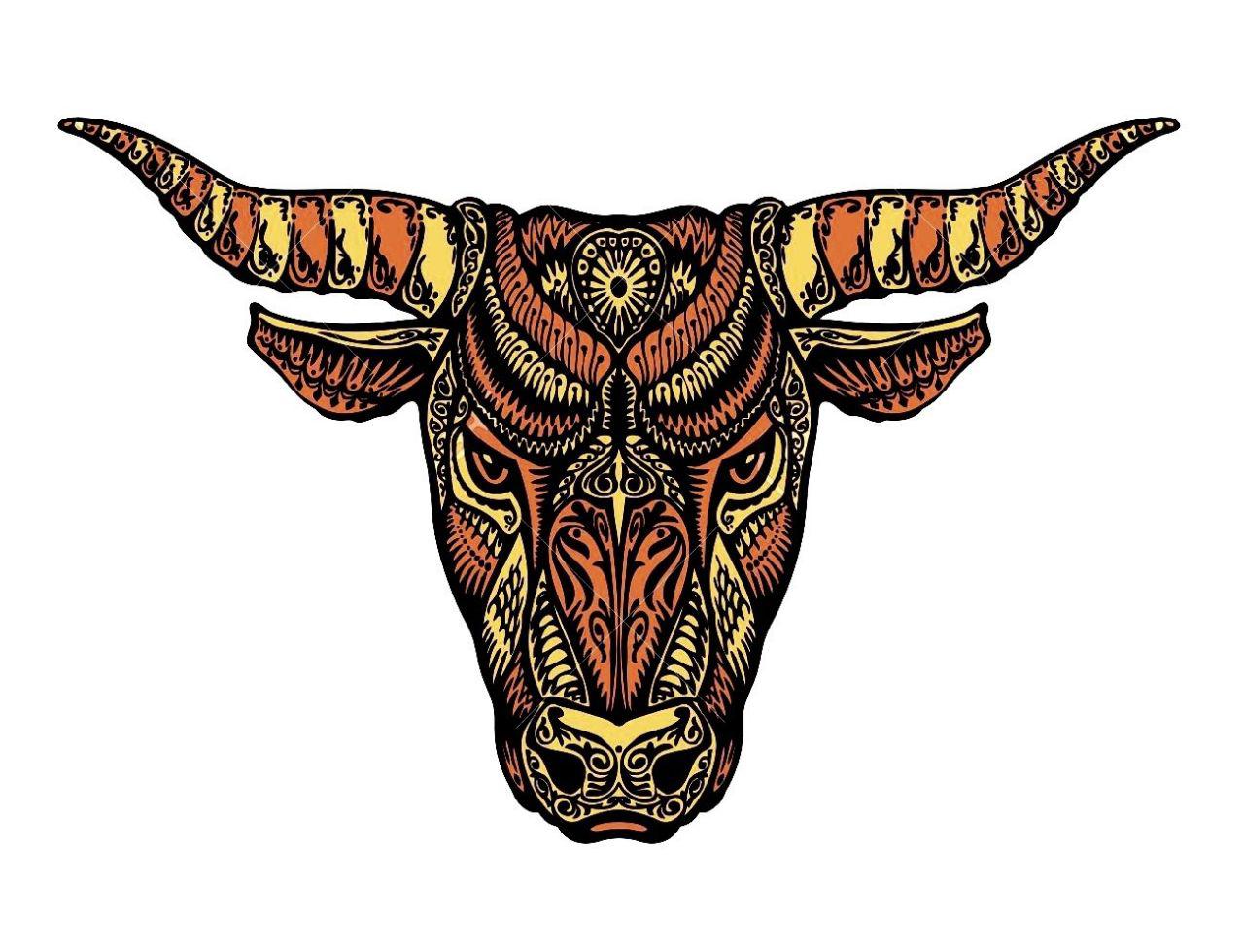General 1280x980 simple background white background bull