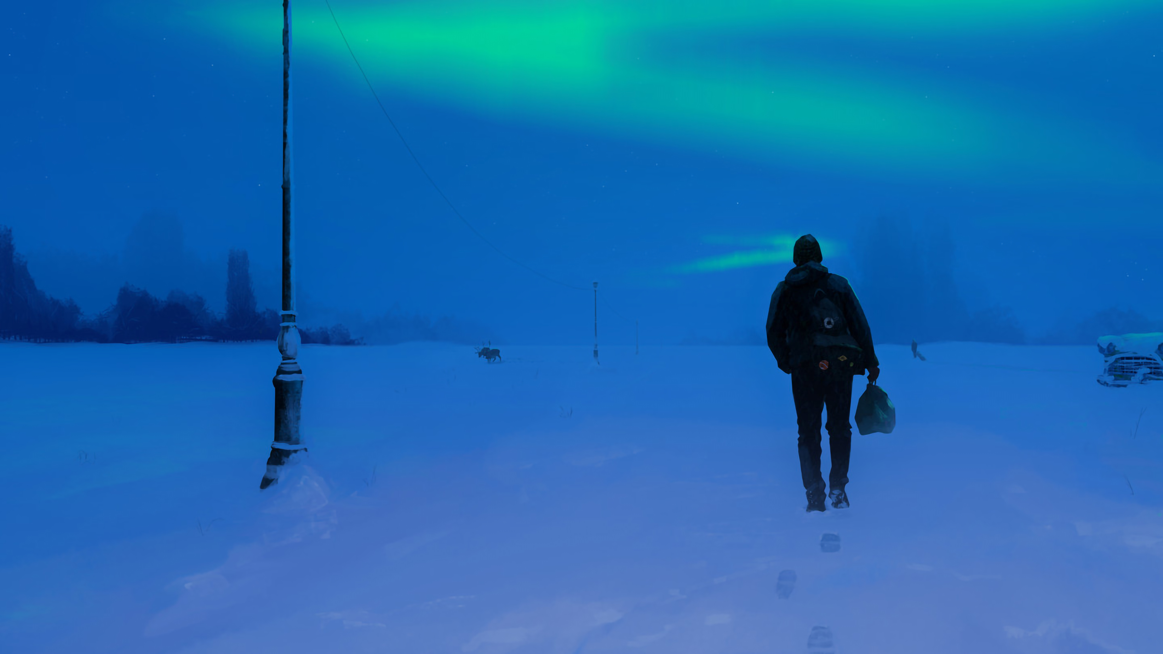 General 3840x2160 aurorae alone snow walking elk light post foot prints winter low light