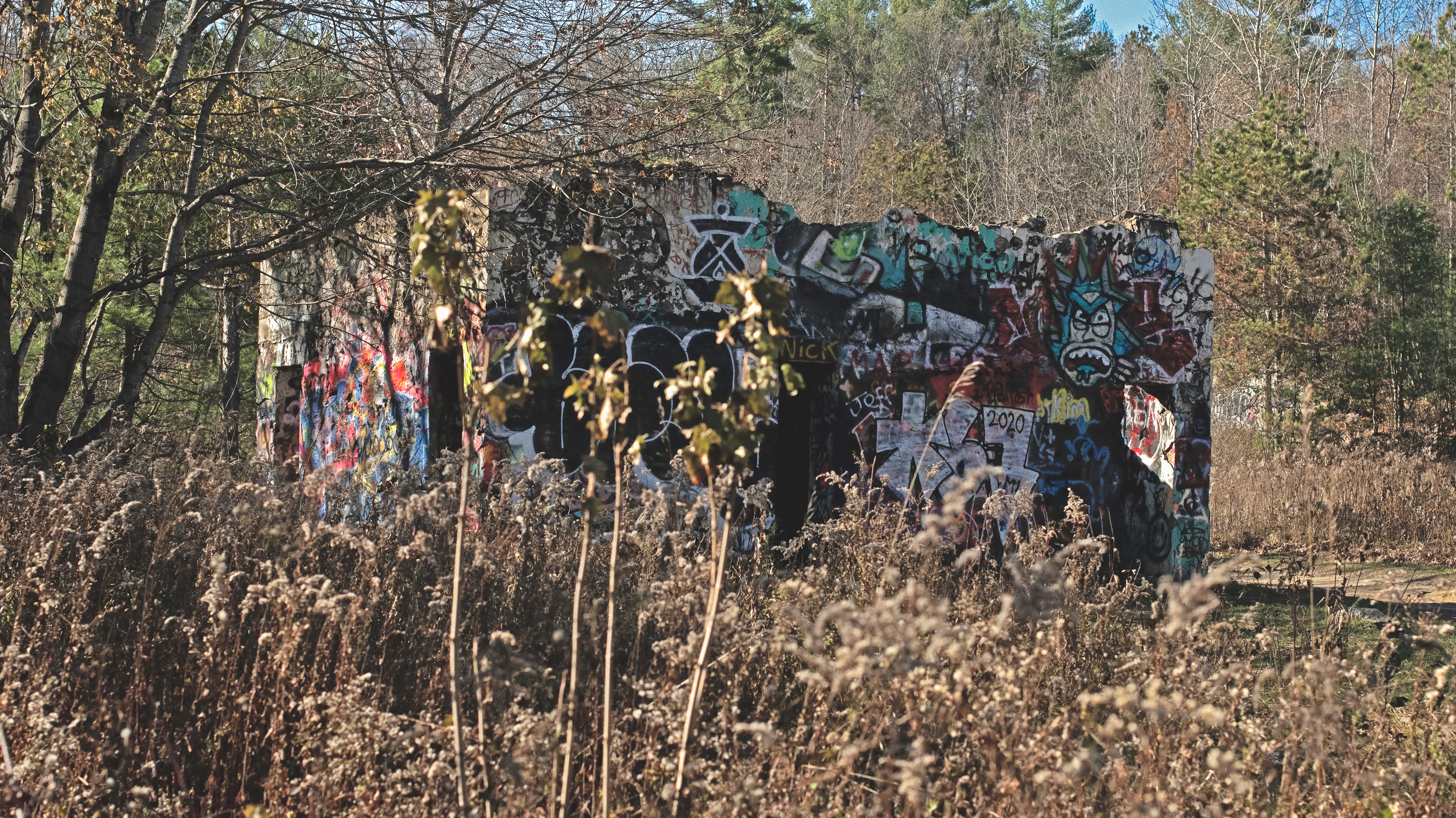 General 3840x2160 abandoned urbex graffiti Rick and Morty outdoors plants trees