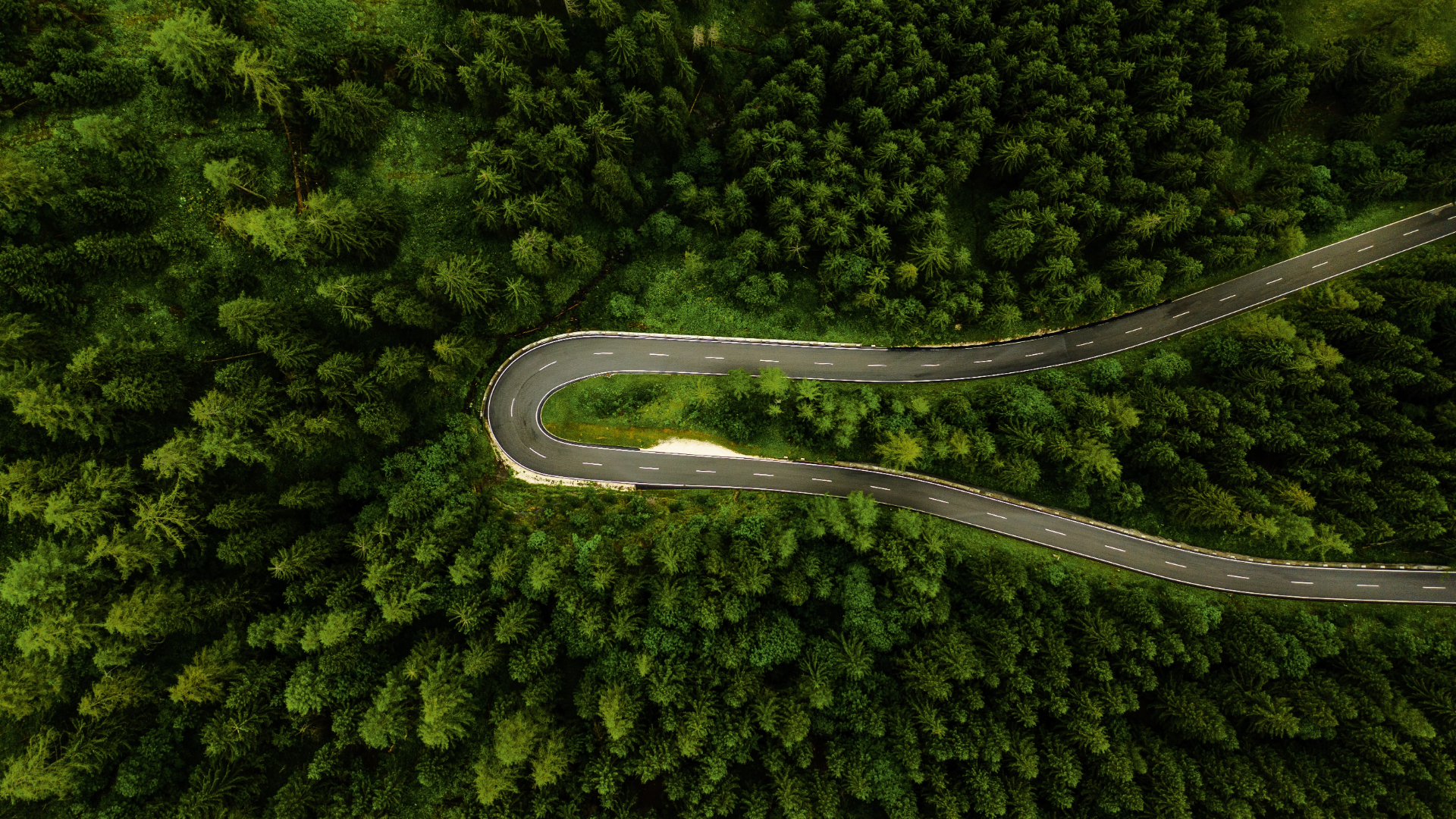 General 1920x1080 nature trees grass plants road hairpin turns aerial view drone photo forest