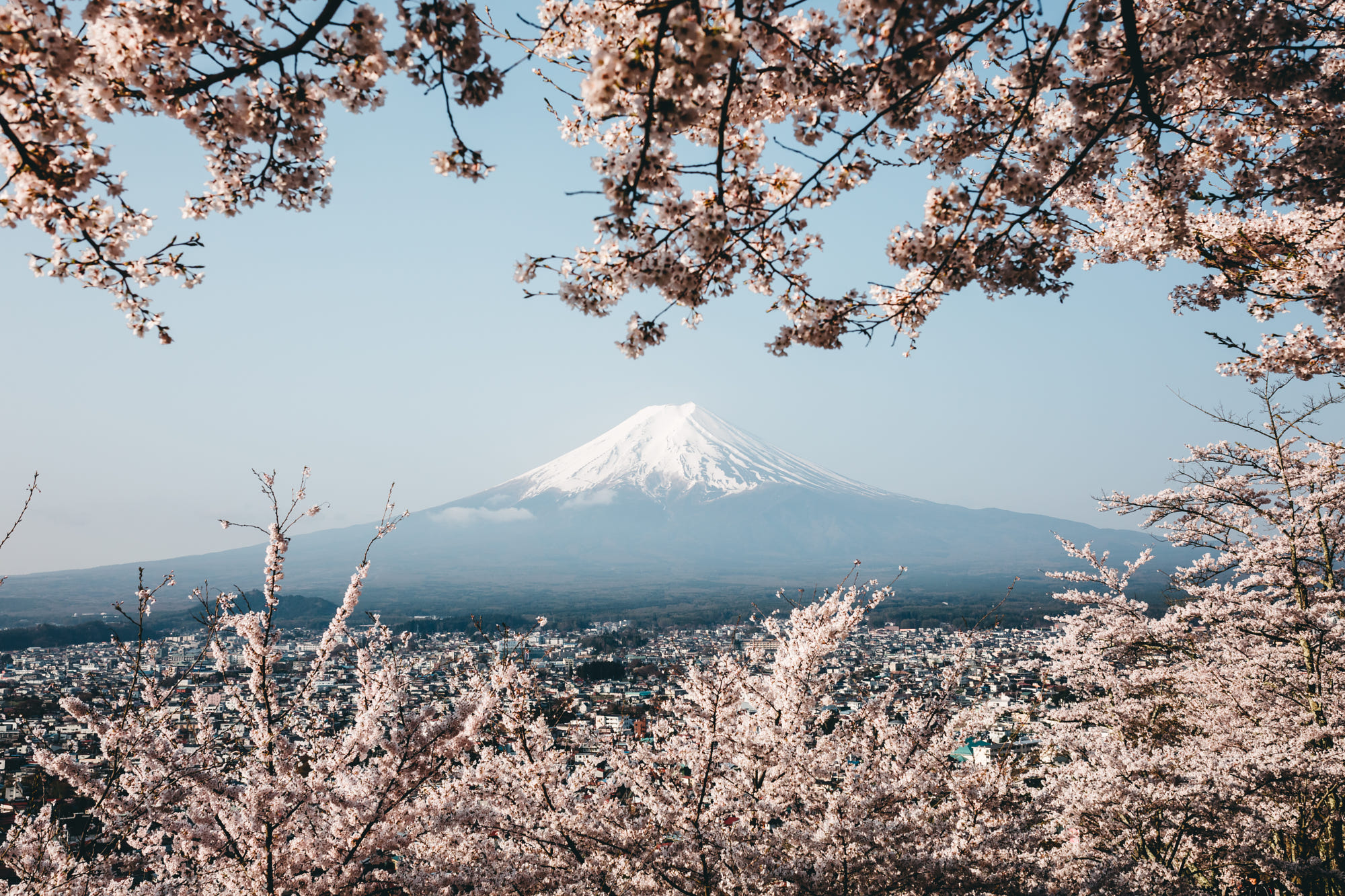 General 2000x1333 landscape photography nature mountains Mount Fuji flowers snow volcano Japan