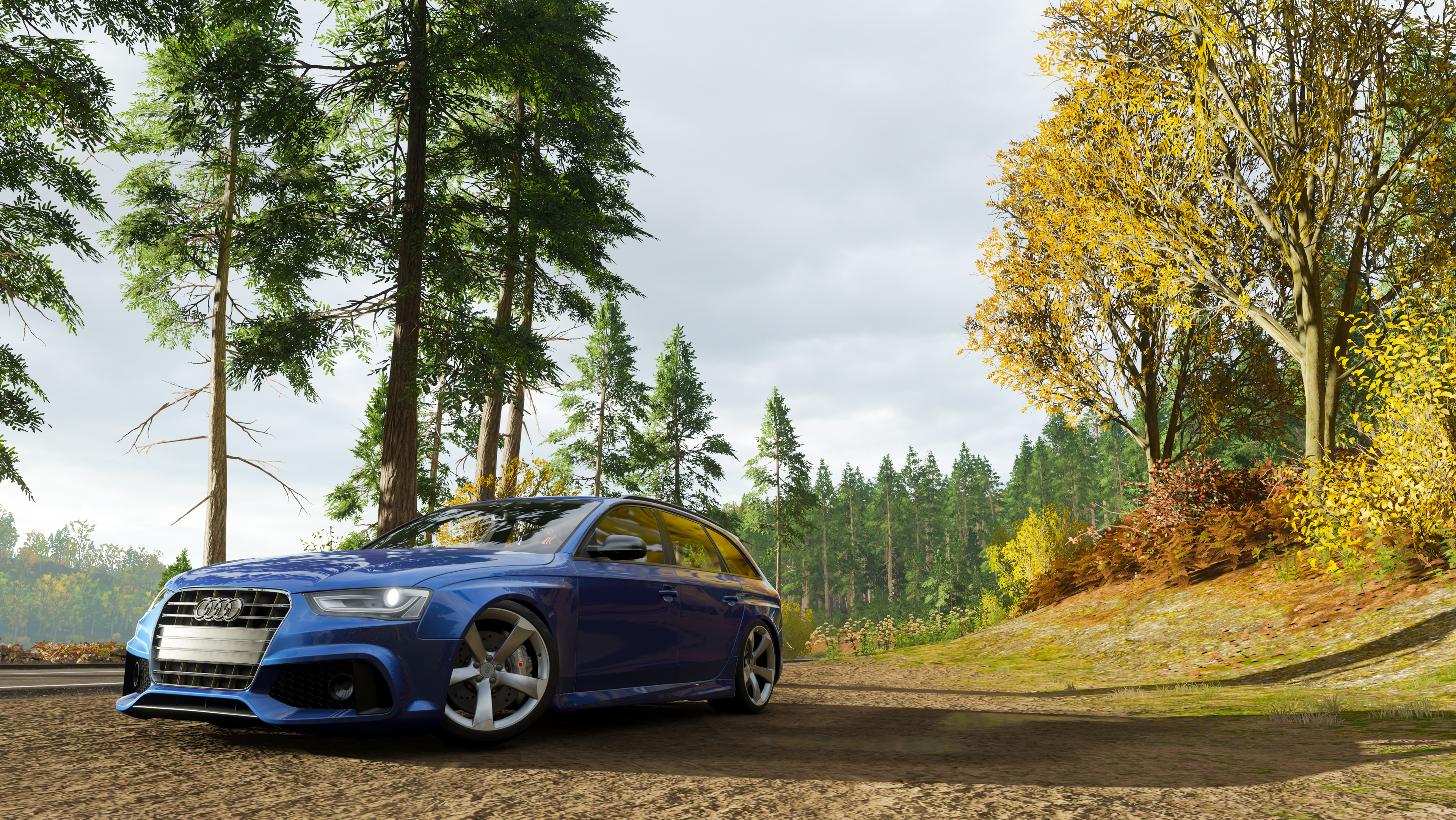 General 3840x2161 Forza Horizon 4 fall video games screen shot Audi RS6 Avant car