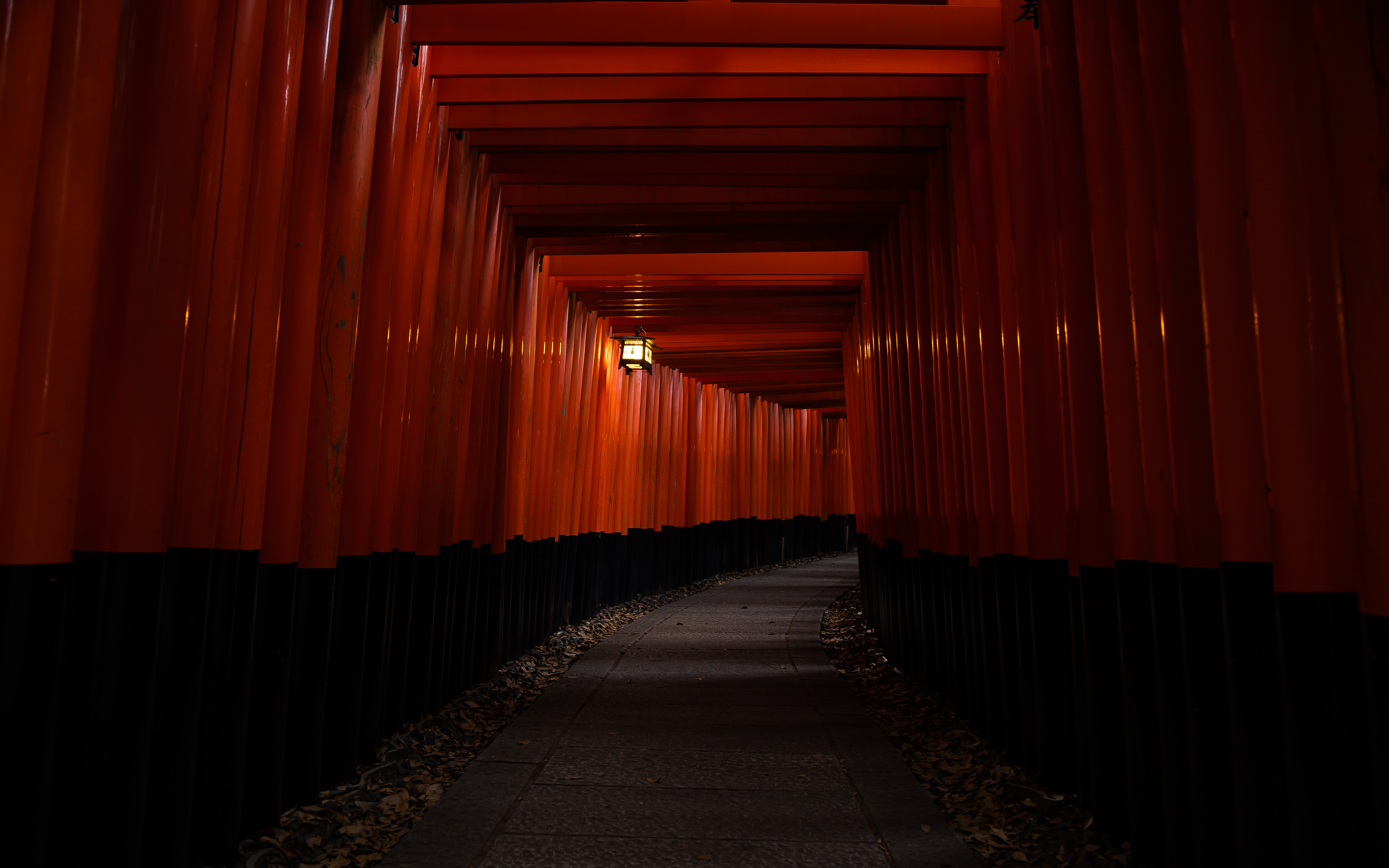 General 6240x3900 Japan Kyoto red Japanese Asia low light