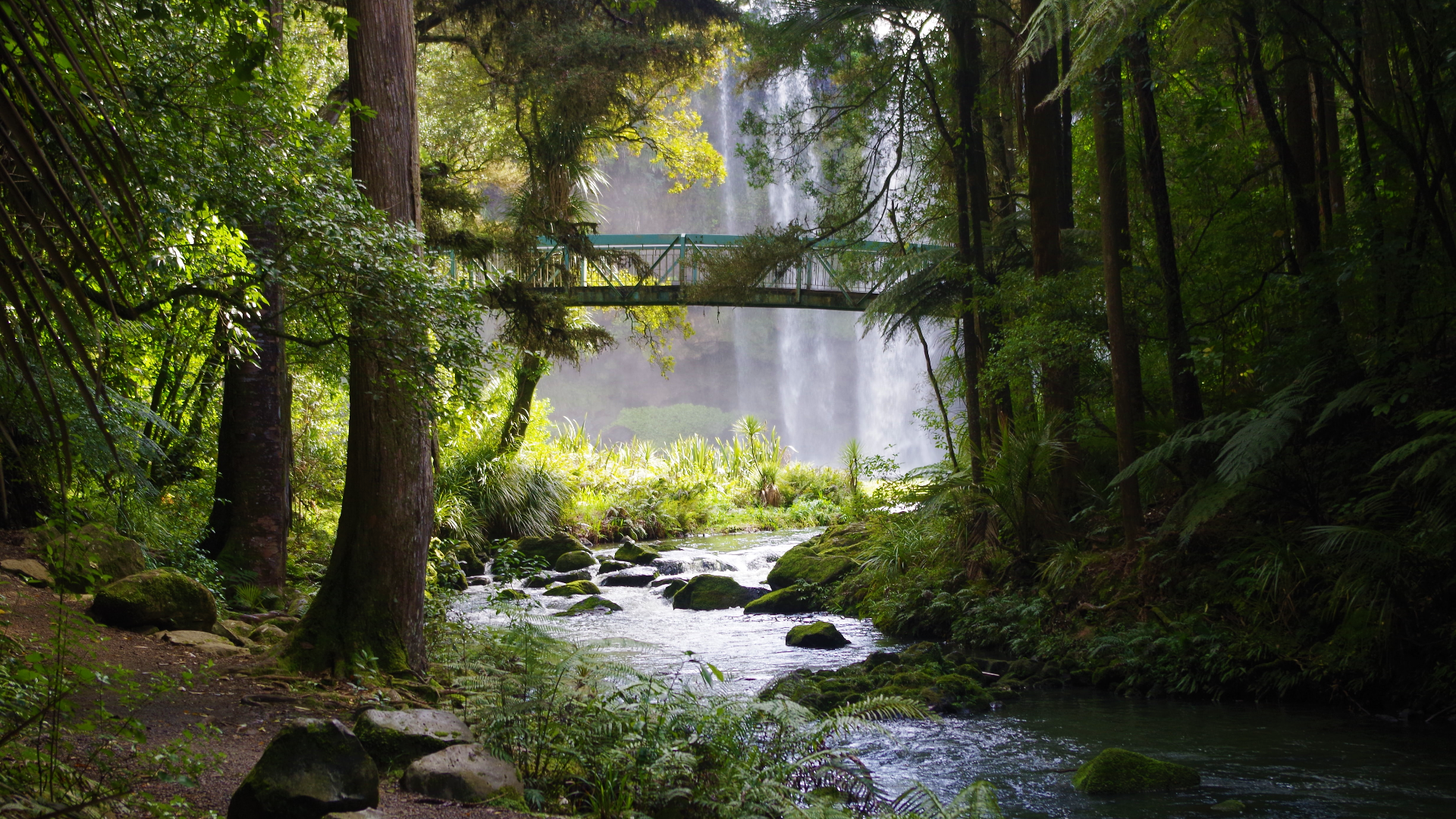 General 1920x1080 nature trees plants grass bridge rocks moss leaves waterfall spring New Zealand river