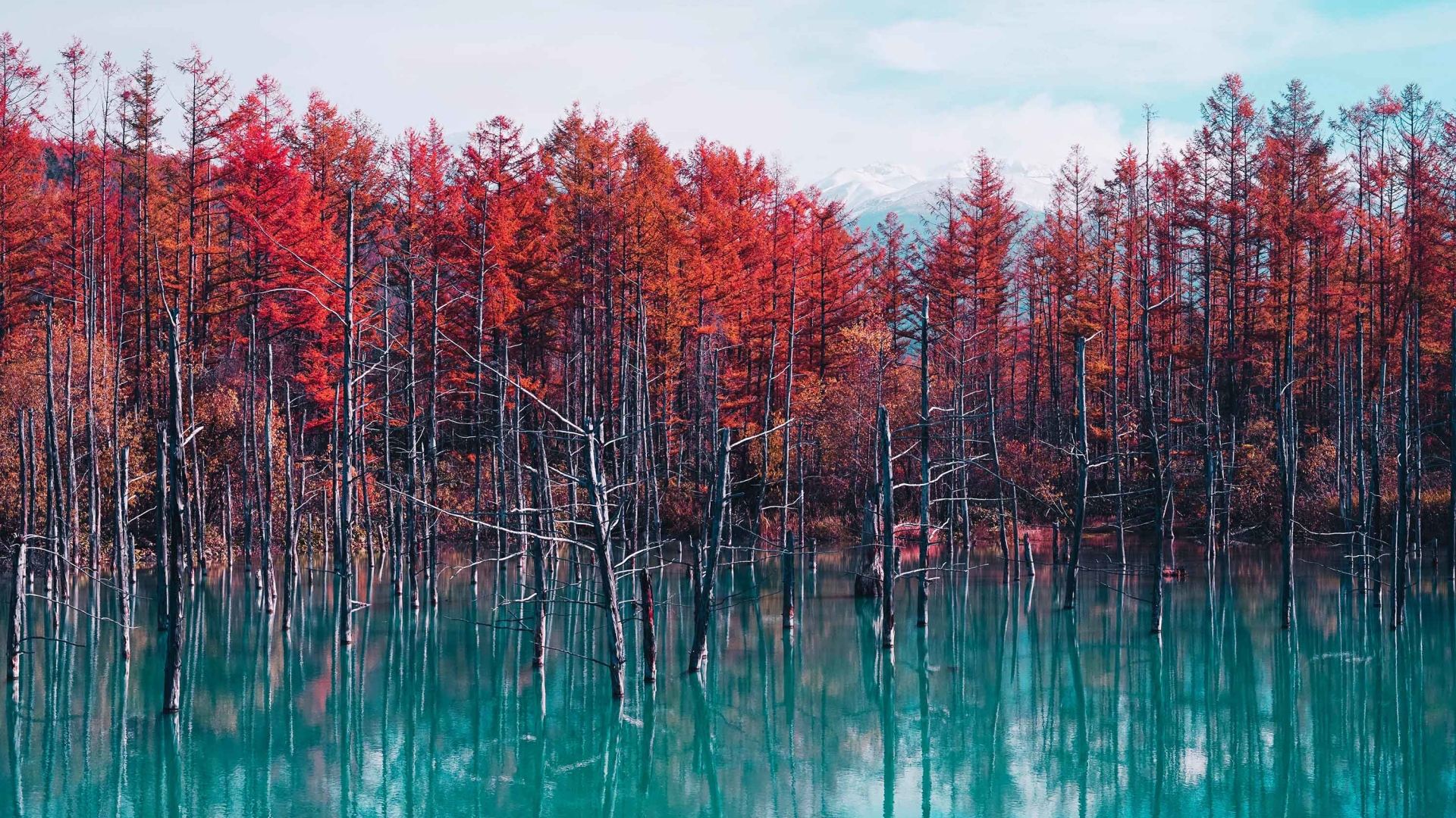 General 1920x1080 nature landscape trees forest water lake reflection