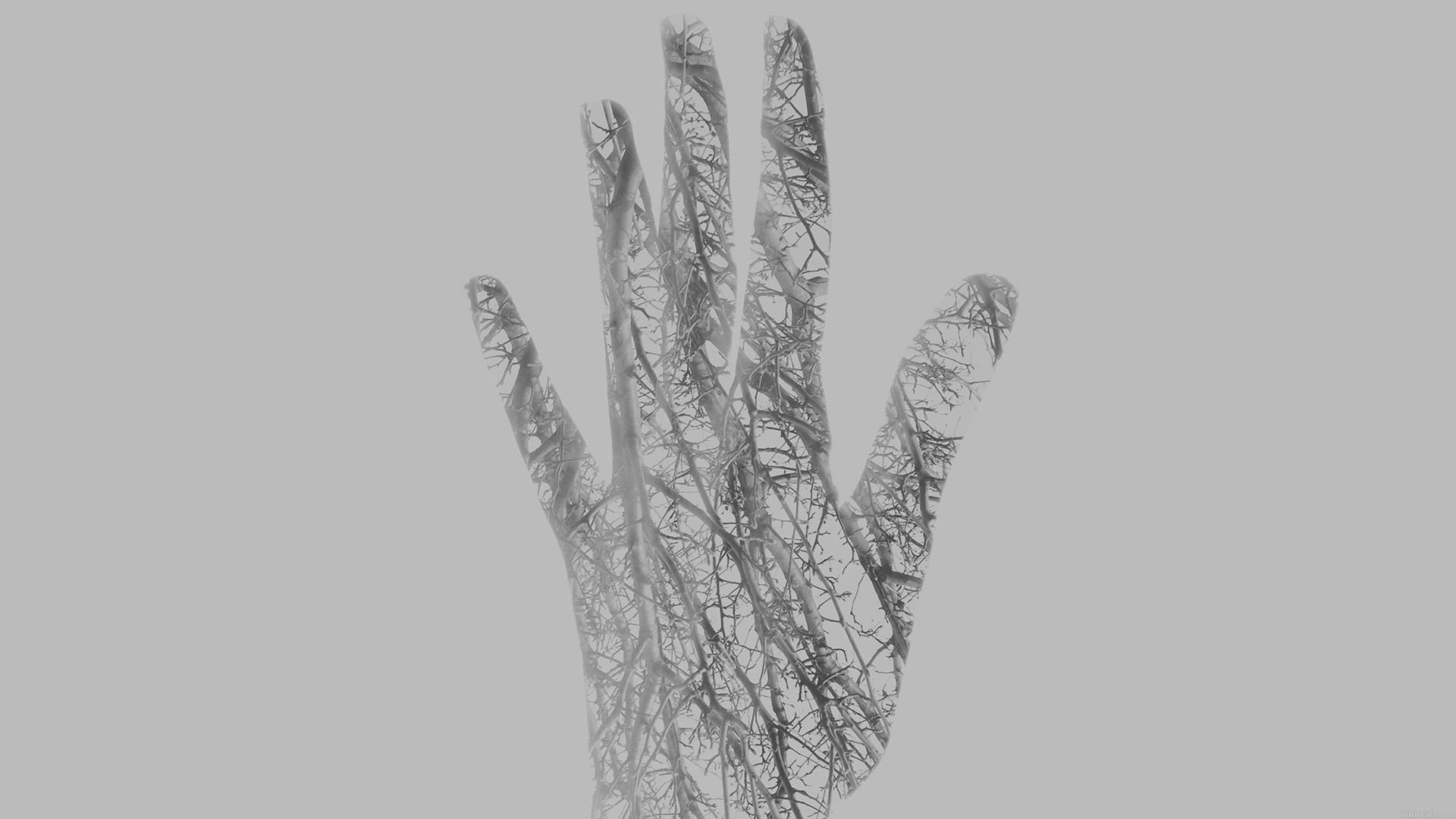 General 1920x1080 digital art hands fingers double exposure trees branch simple background monochrome gray