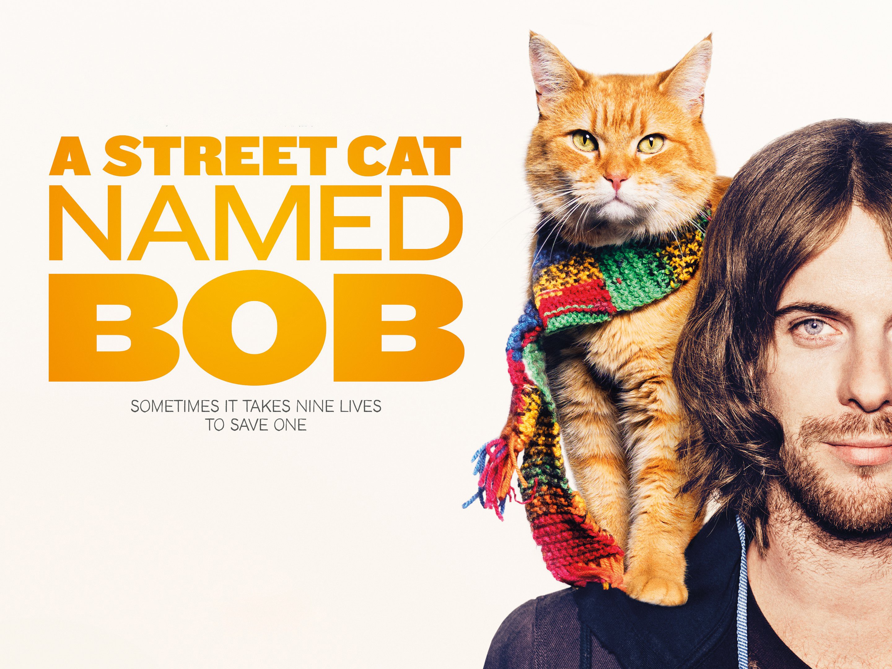People 2880x2160 cats men movies A street cat named Bob movie poster