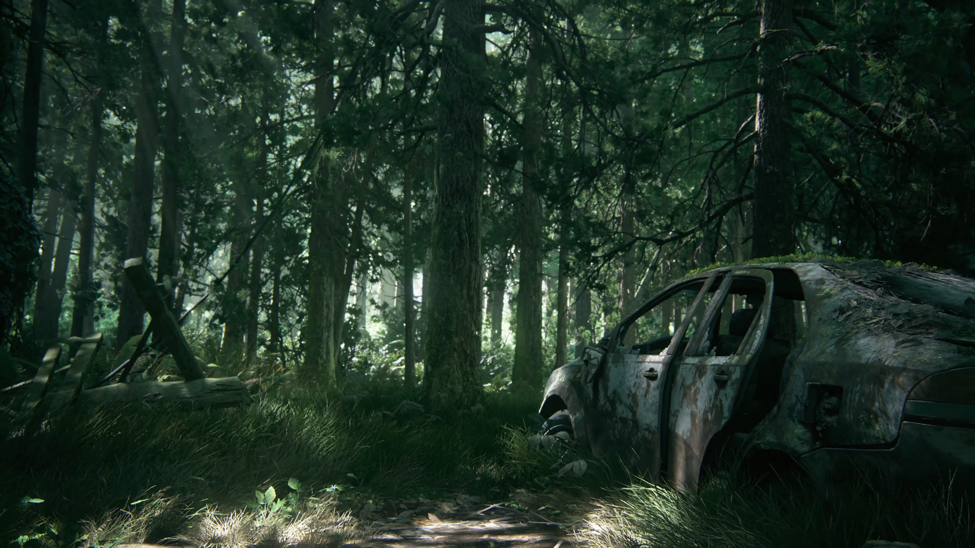 General 1920x1080 The Last of Us 2 forest PC gaming Wreckage screen shot