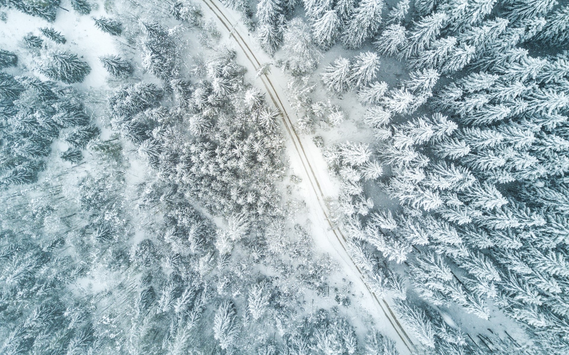 General 1920x1200 aerial view road winter trees snow