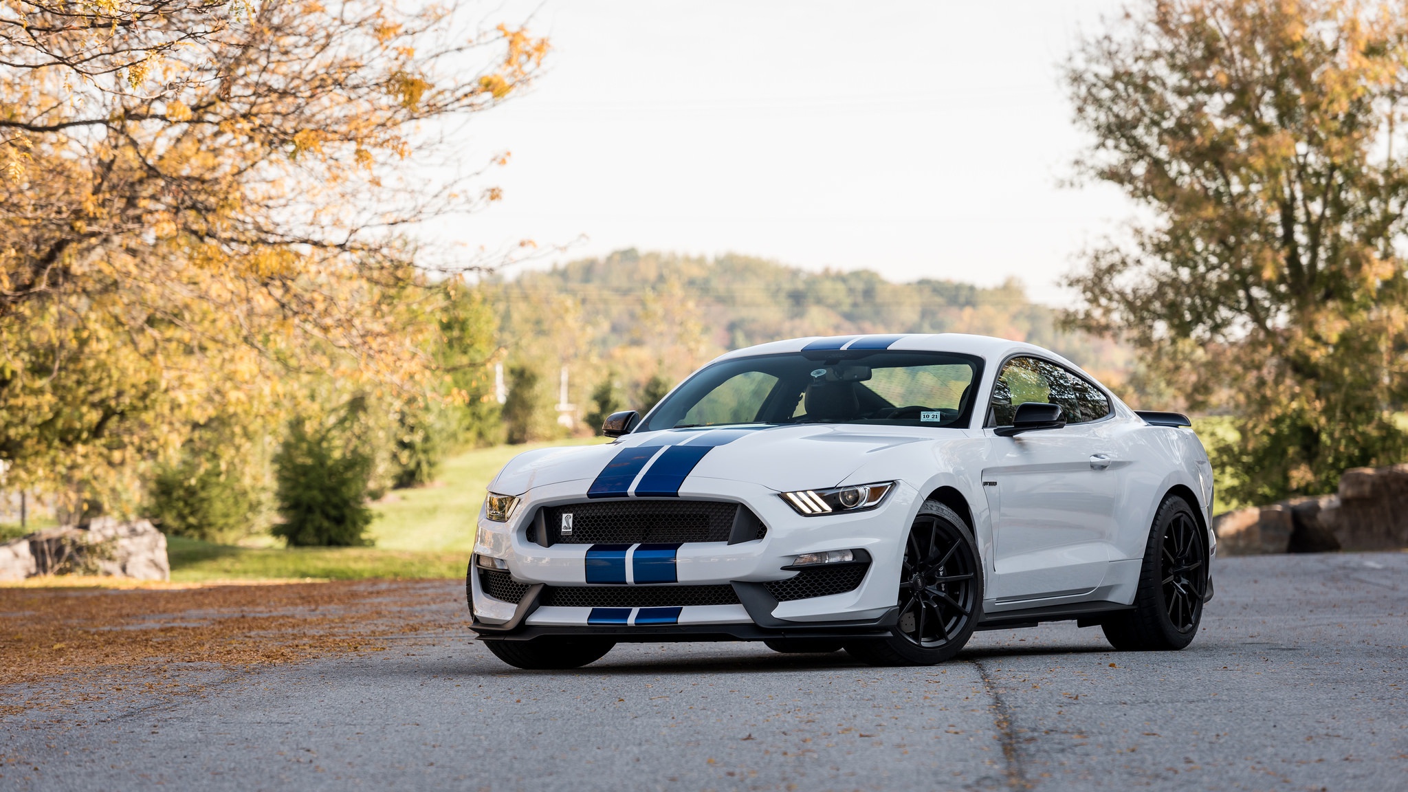 General 2048x1152 car nature depth of field Ford Mustang Shelby Ford Ford Mustang Ford Mustang S550 muscle cars American cars