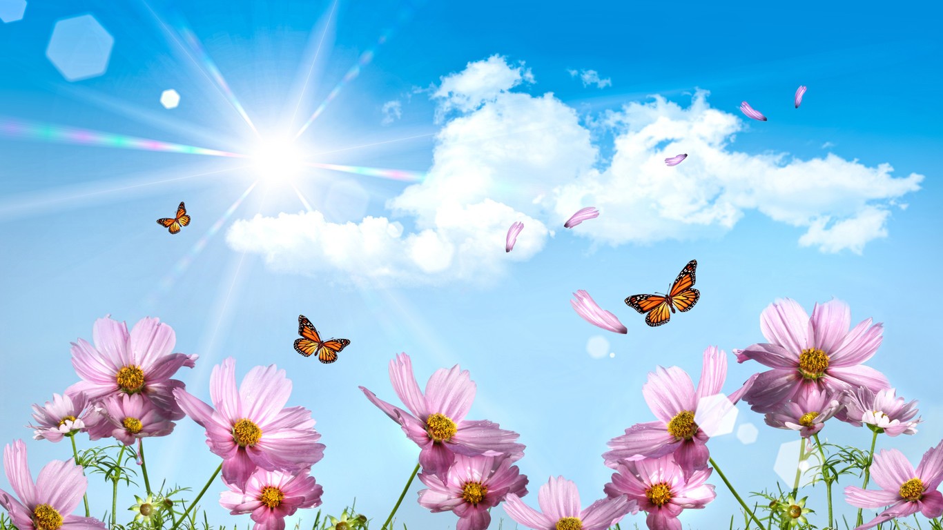 Anime 1366x768 sky flowers butterfly Sun clouds anime insect animals pink flowers plants