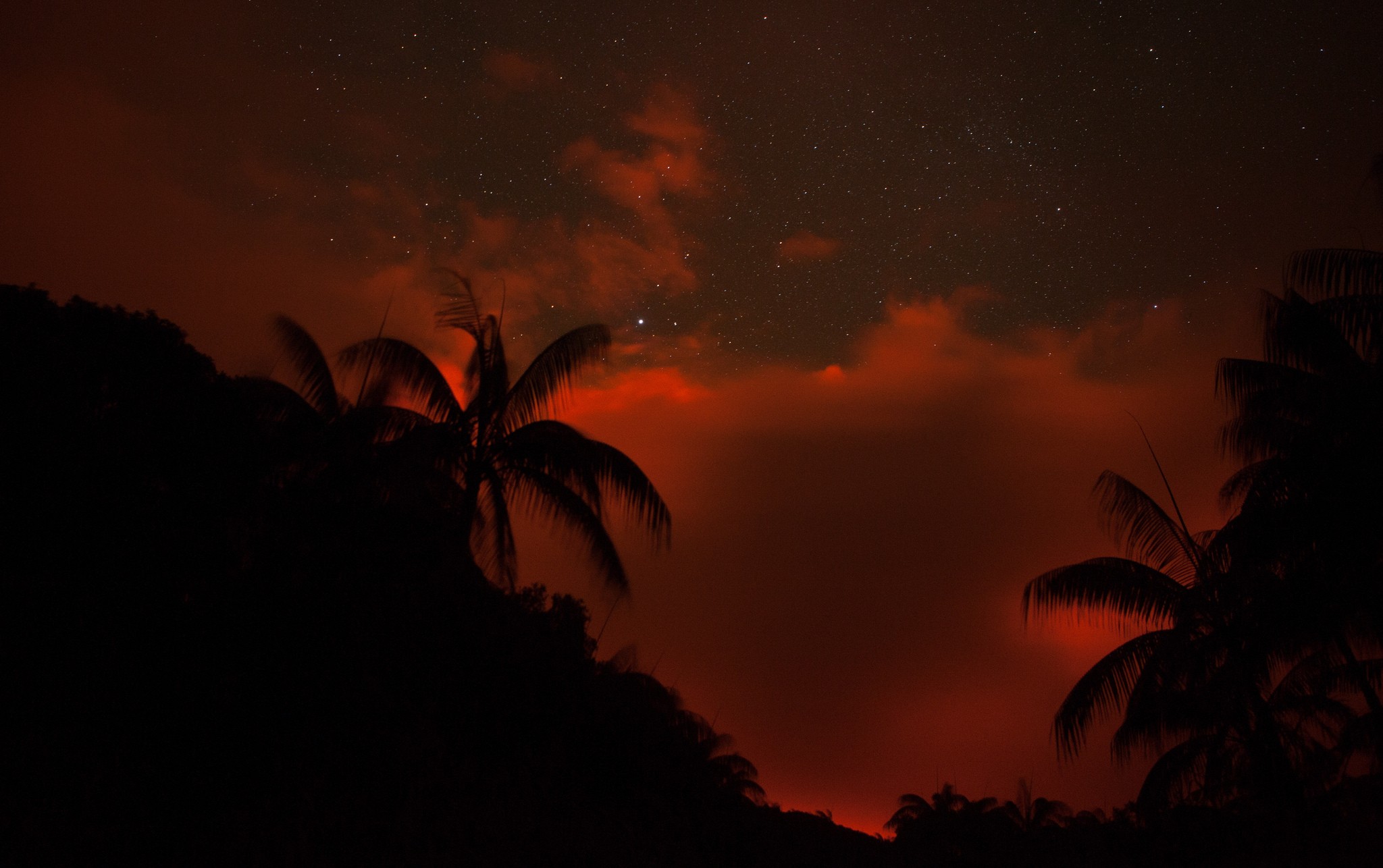 General 2048x1286 palm trees silhouette night skyscape tropical red dark stars outdoors