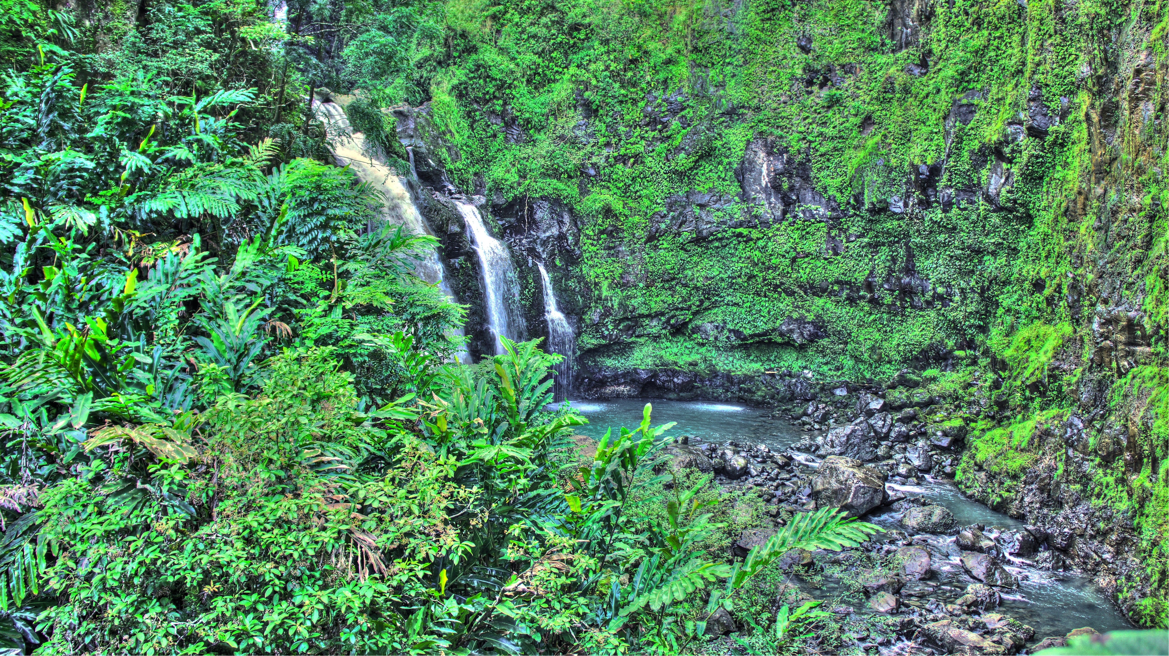 General 4592x2576 tropical water tropical forest Hawaii Maui palm trees beach waterfall