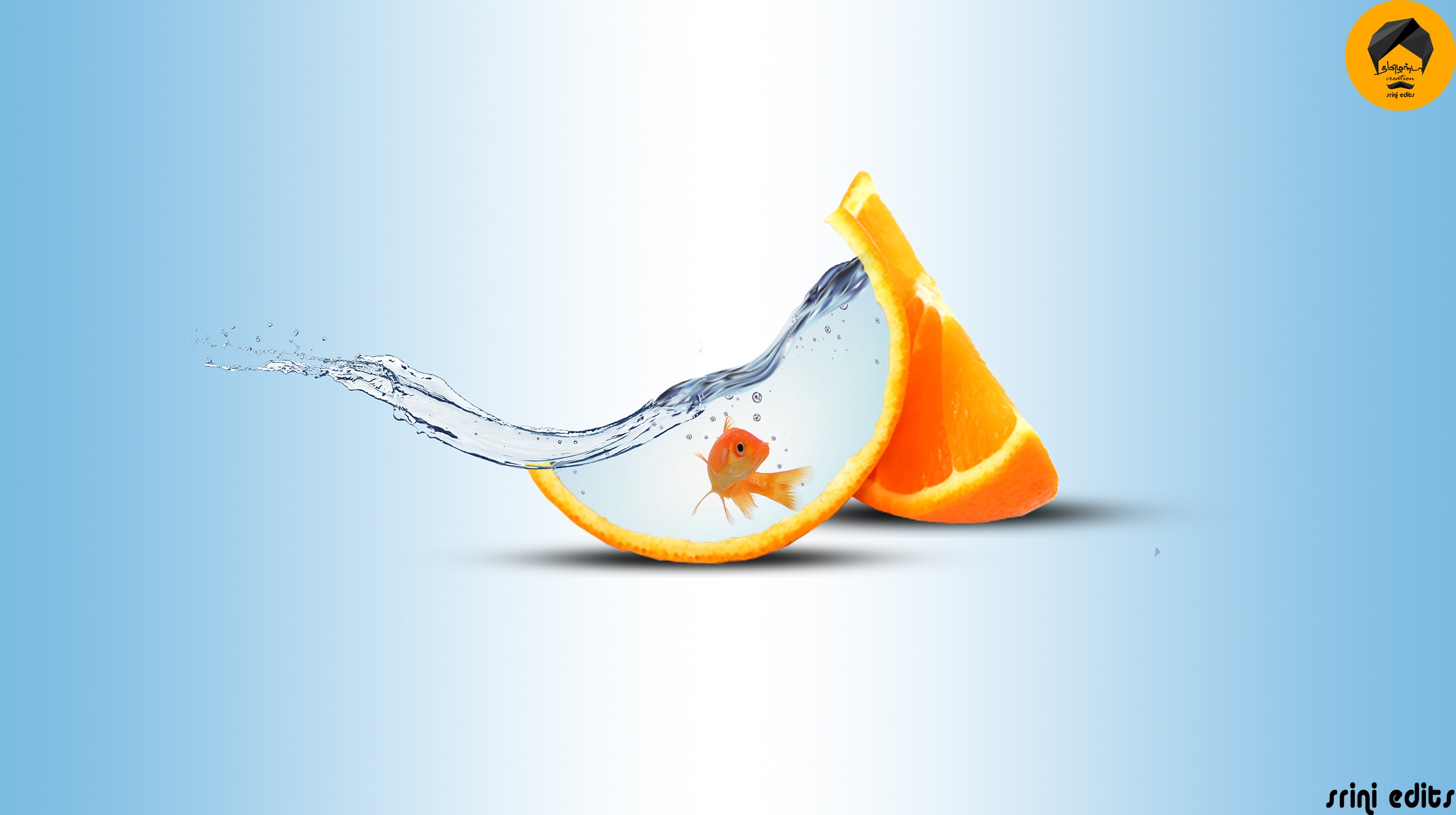 General 2560x1433 fish water orange (fruit) splashes