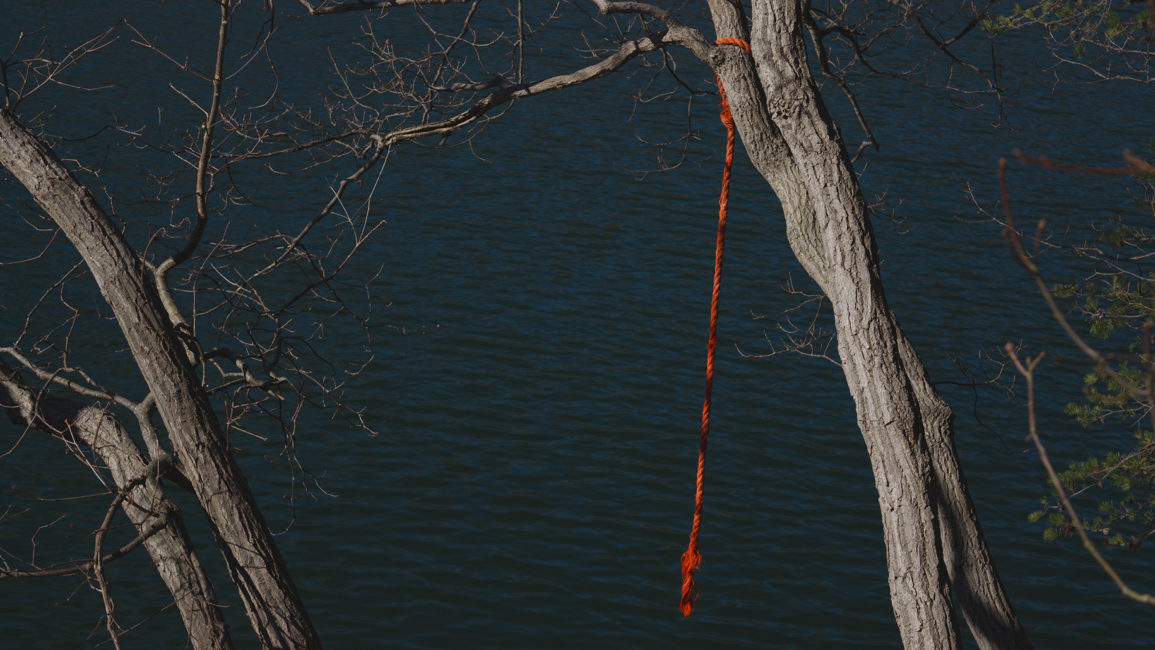 General 3840x2160 water rope swing trees
