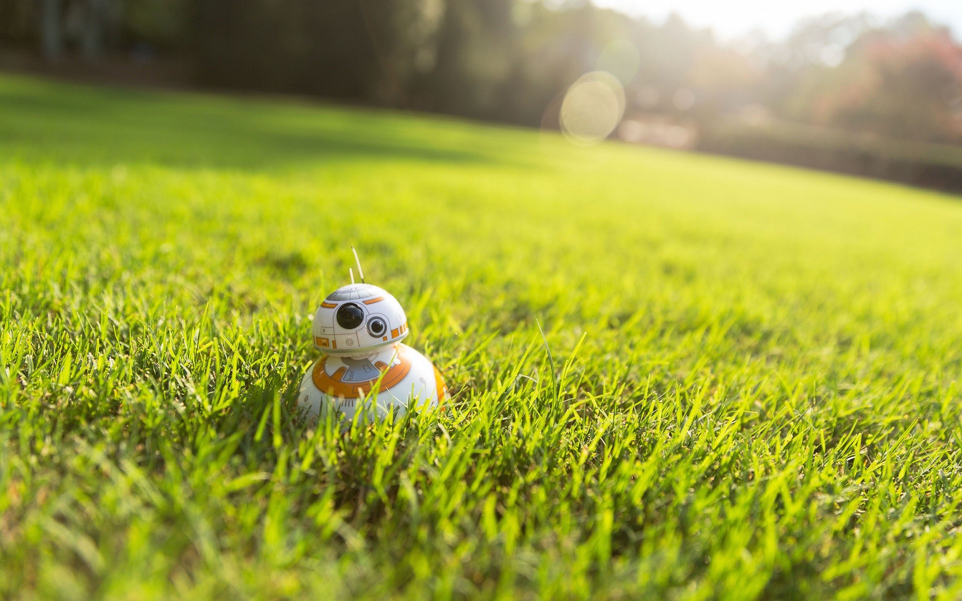 General 1920x1200 Star Wars BB-8 toys grass tilt shift Star Wars Droids outdoors