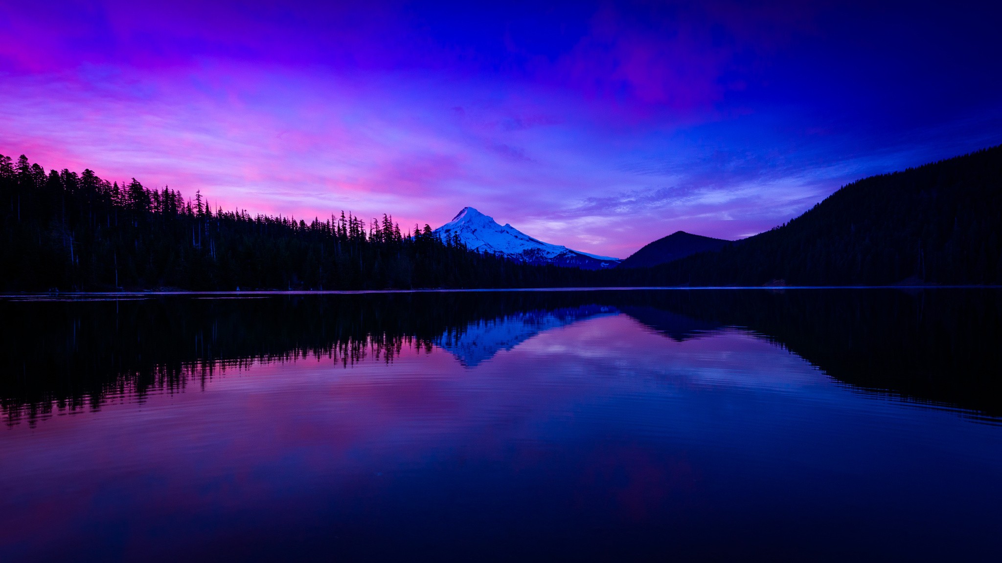 Фотография размером 1024 2048. Ночной пейзаж. Фиолетовый пейзаж. Фиолетовое озеро. Фиолетовая природа.