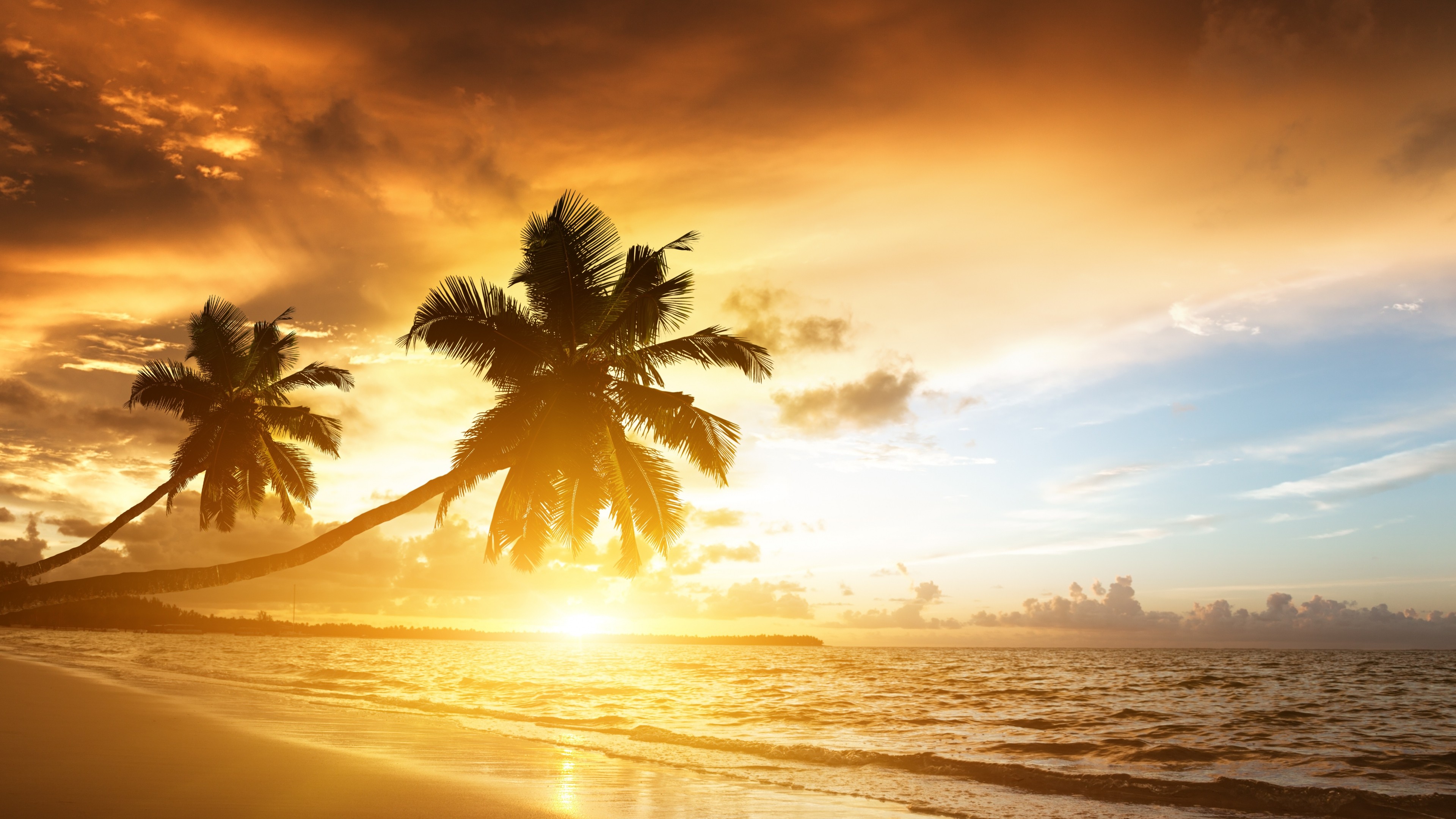 General 3840x2160 sunset beach sky clouds nature trees orange sky sea water palm trees sunlight overexposed