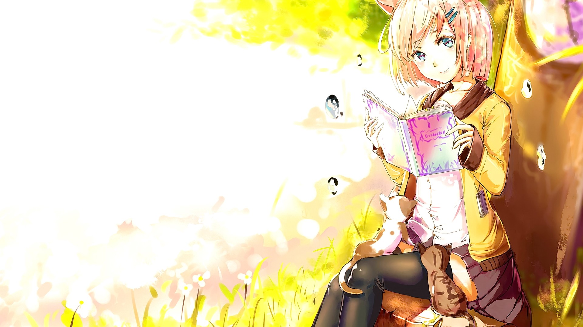 Anime 1920x1080 anime anime girls animal ears original characters books reading cats short hair blonde cat ears animals yellow background sitting stockings black stockings smiling looking at viewer skirt