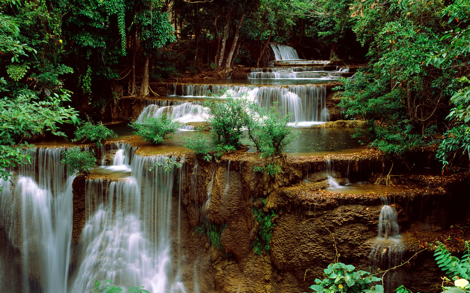 General 1920x1200 nature waterfall trees creeks bushes