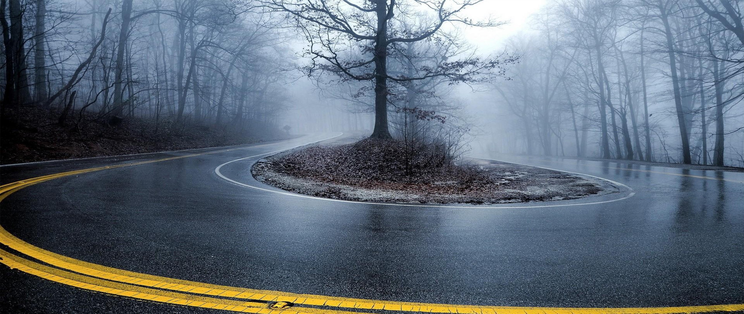 General 2560x1080 ultrawide photography road hairpin turns outdoors asphalt trees mist
