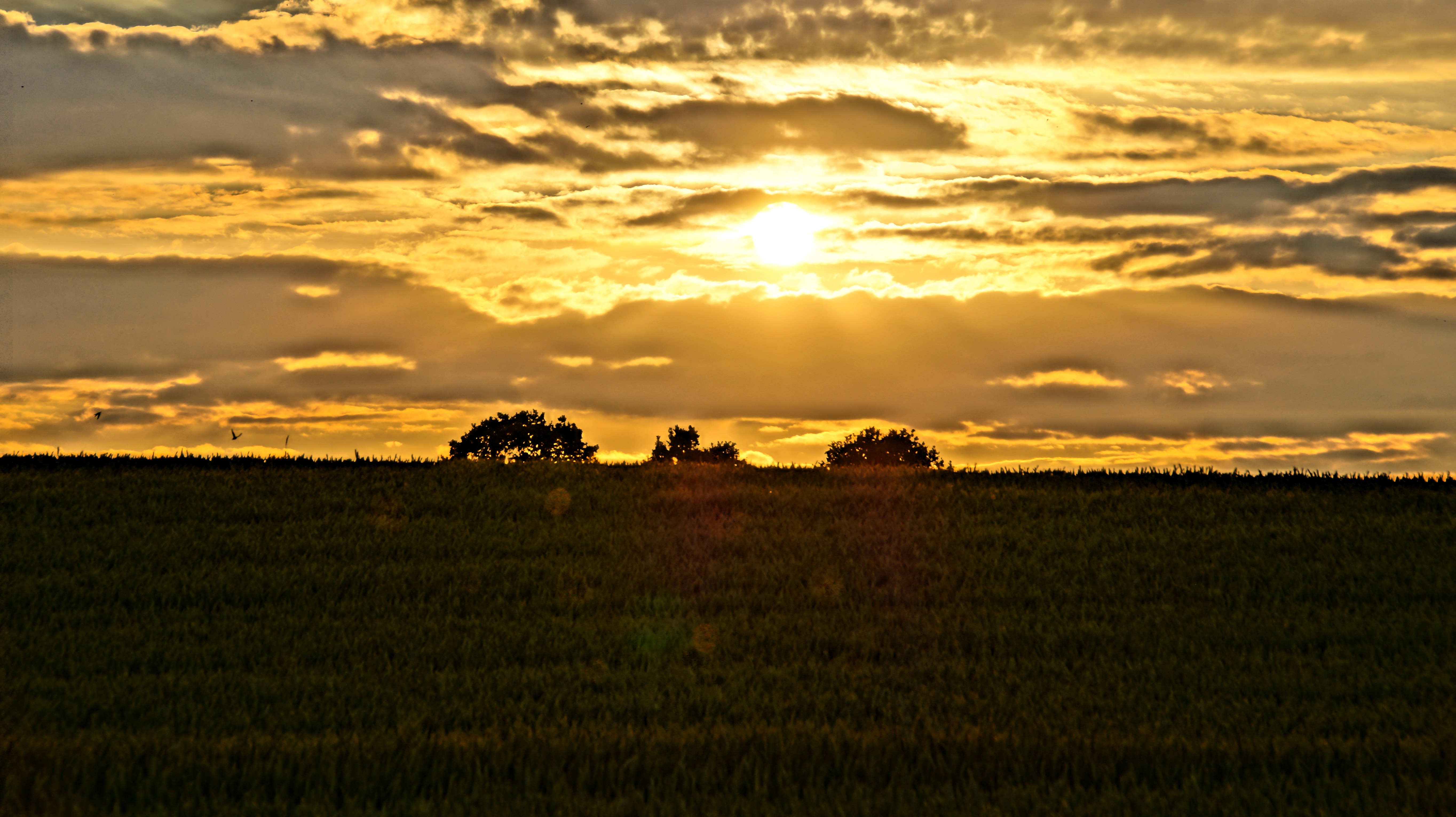 General 5456x3064 sunset HDR field clouds plants sunlight sky outdoors low light