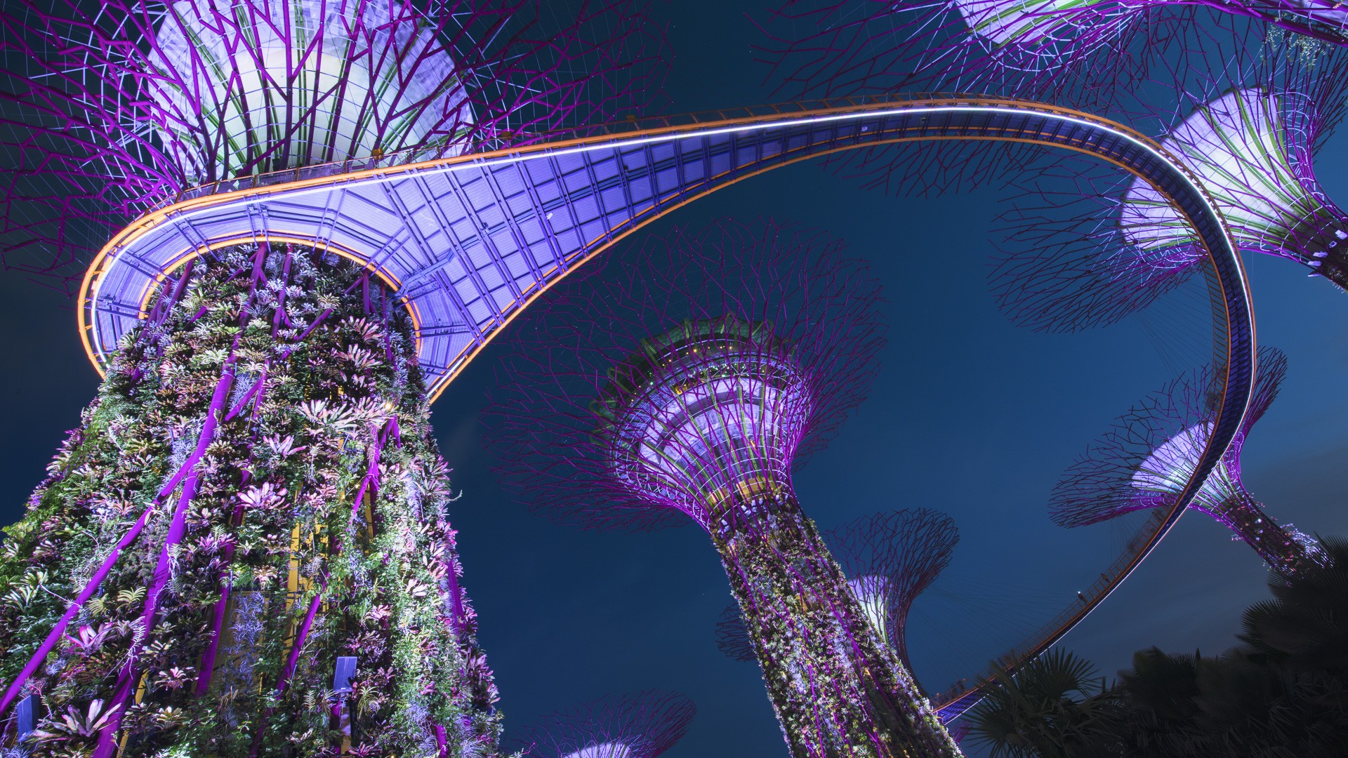 General 1920x1080 Singapore Asia plants Solar Supertrees garden city