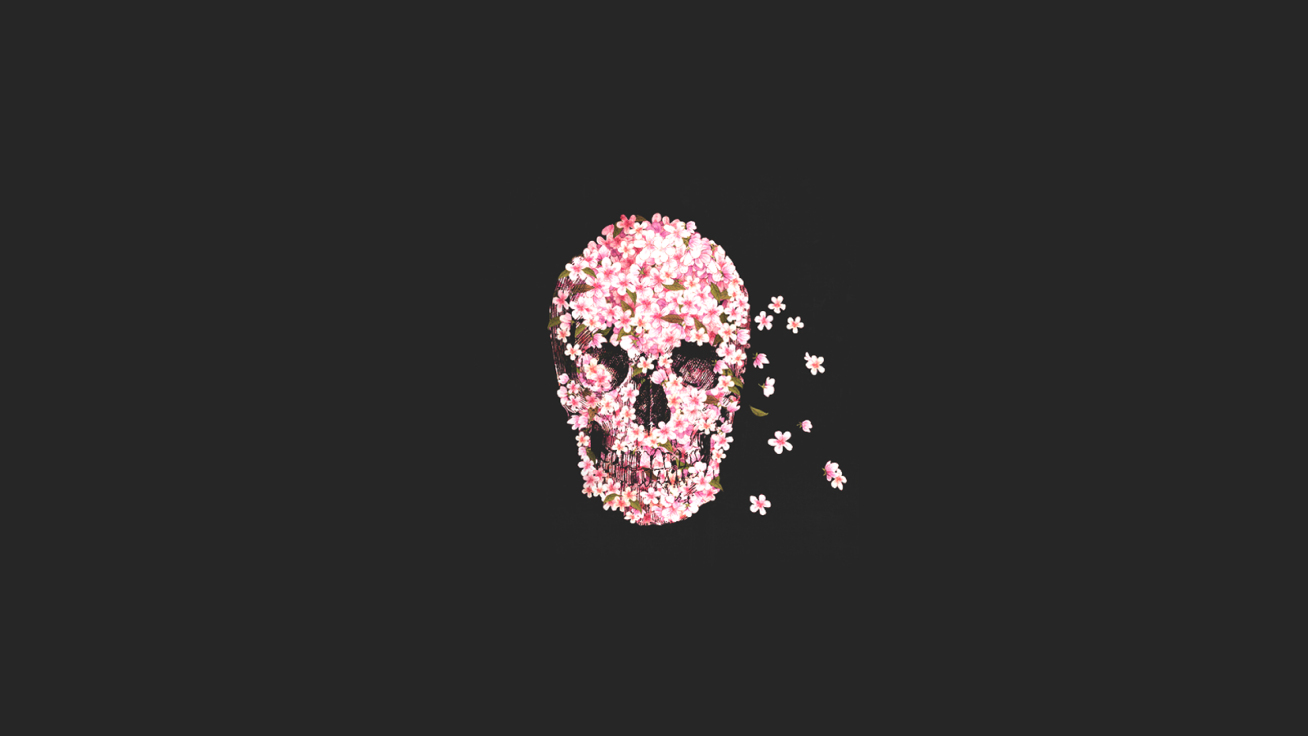 General 2560x1440 Sugar Skull skull rose simple background digital art drawing