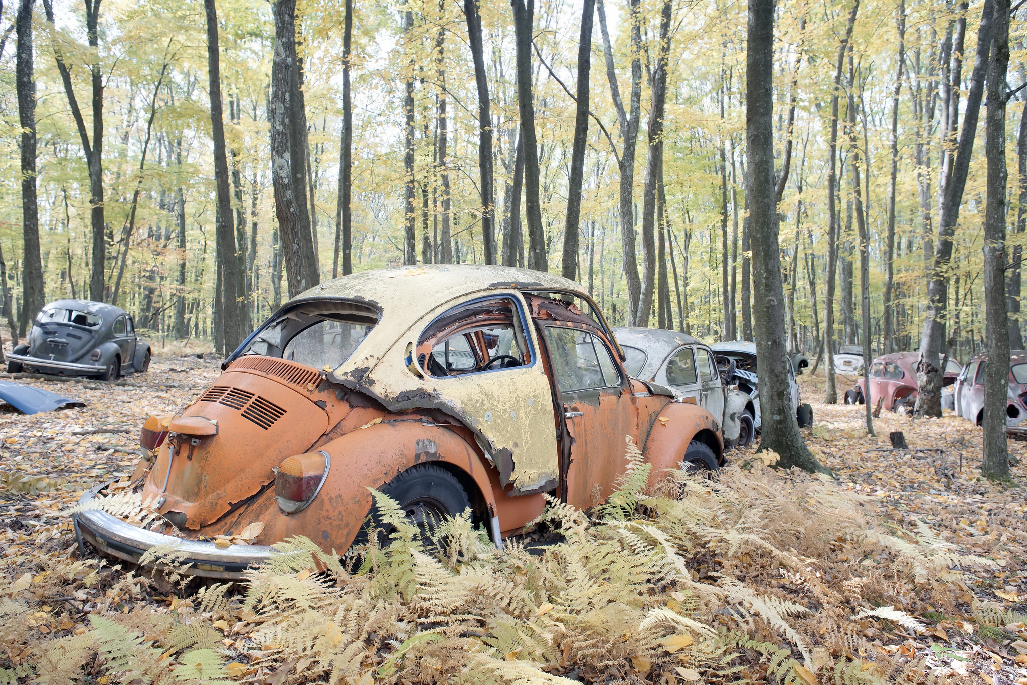 General 2048x1367 car wreck vehicle rust Volkswagen Beetle
