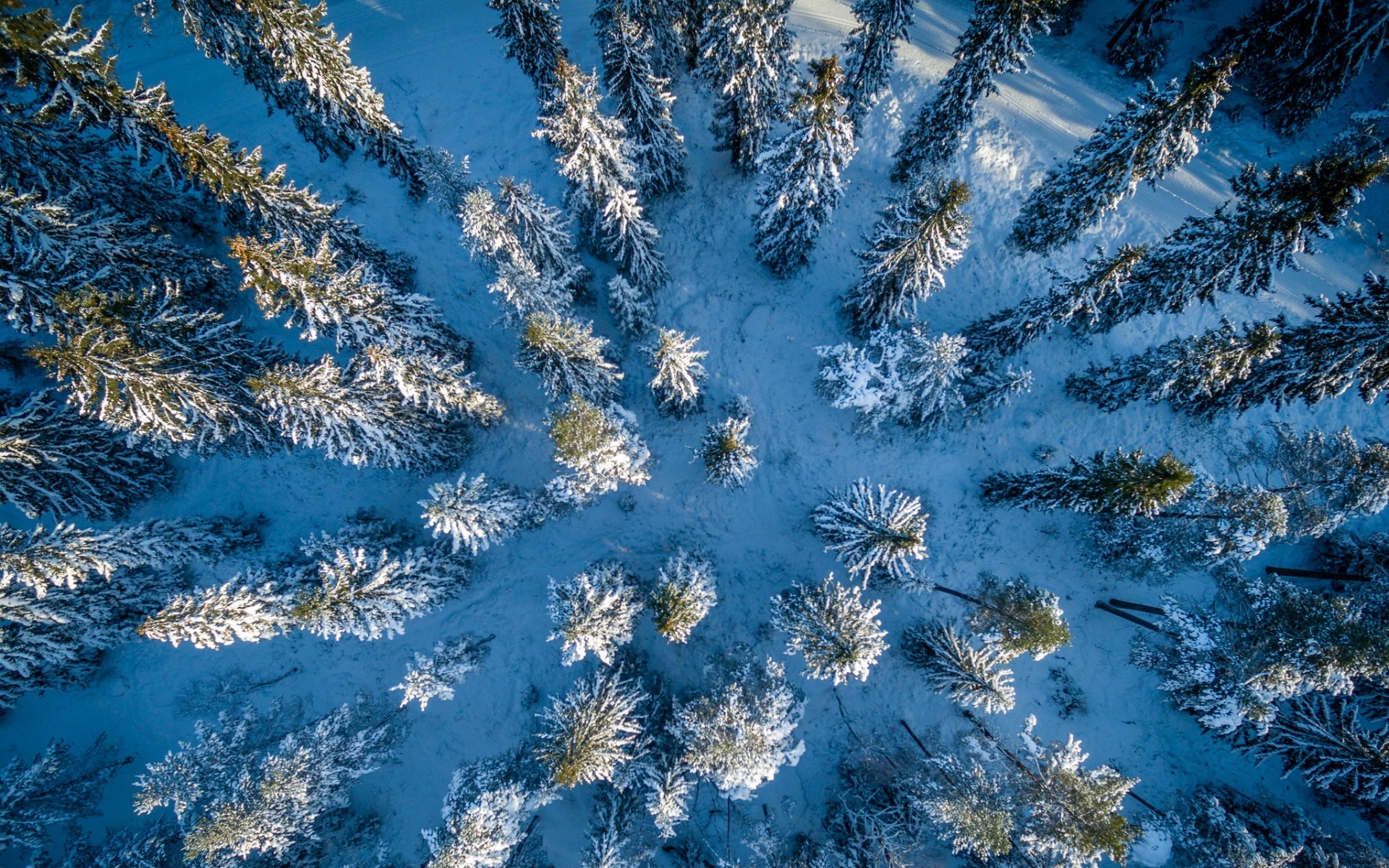 General 1920x1200 aerial view nature trees winter snow forest