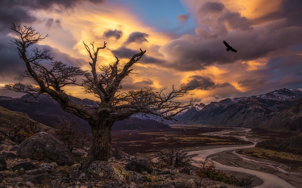 General 1230x768 nature landscape trees condors birds sunset river valley mountains sunlight clouds Patagonia Argentina