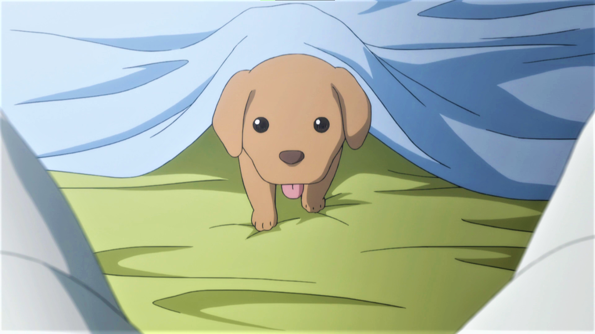 Anime 1920x1079 Hunter x Hunter dog puppies tongue out blankets anime Anime screenshot animals