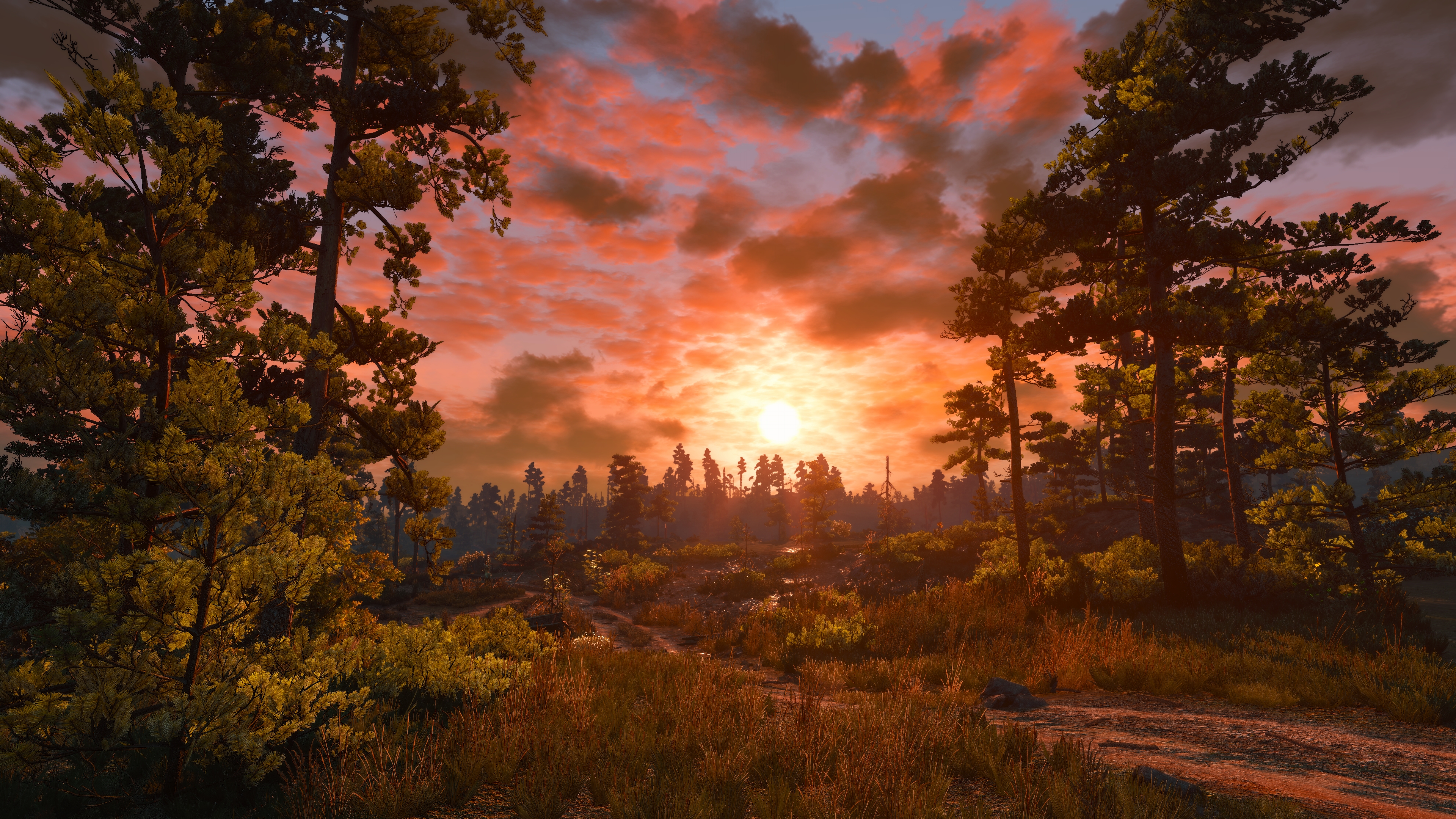 General 3840x2160 The Witcher 3: Wild Hunt screen shot video games The Witcher