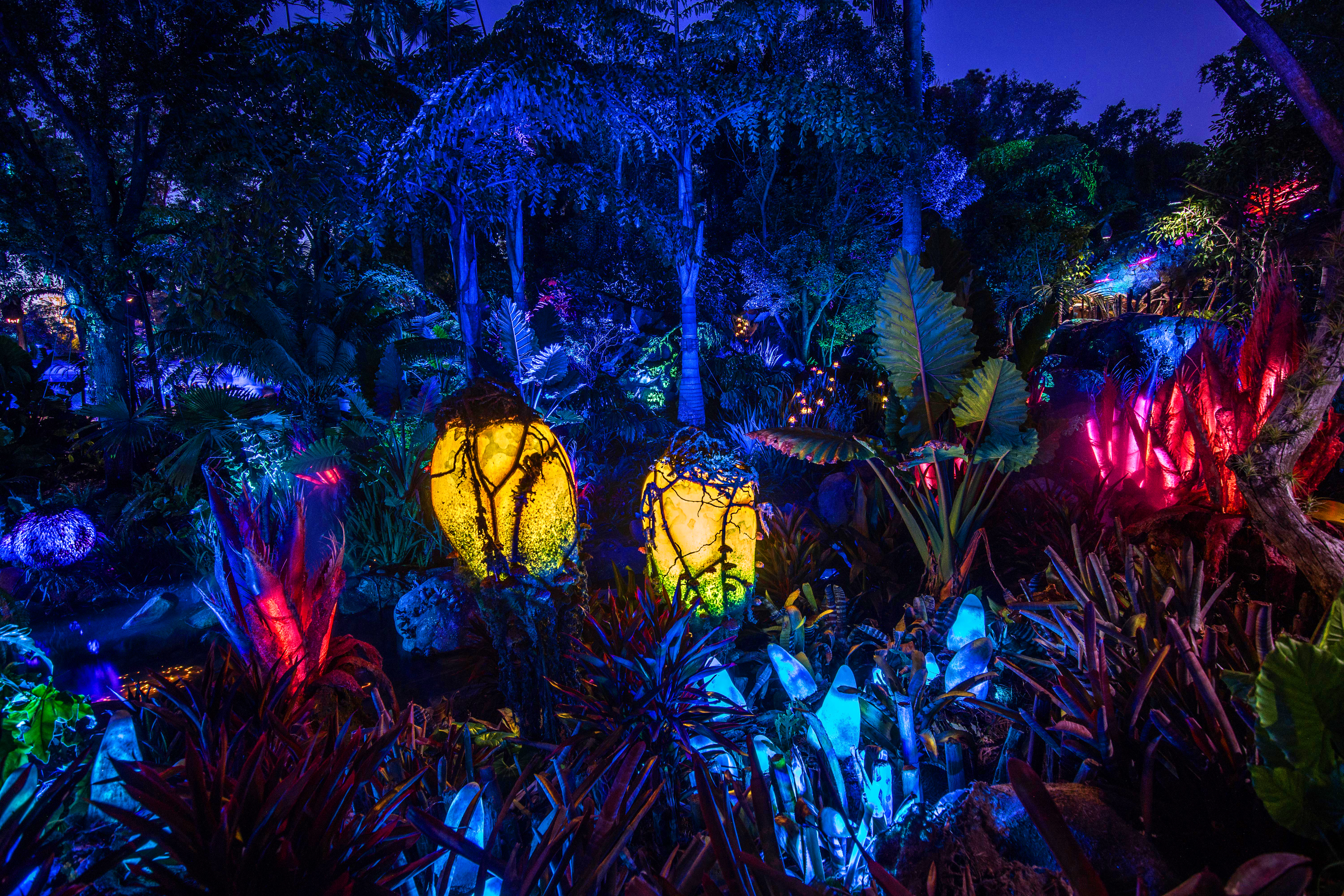 General 6000x4000 exotic colorful neon plants trees grass blue red lamp Avatar mushroom