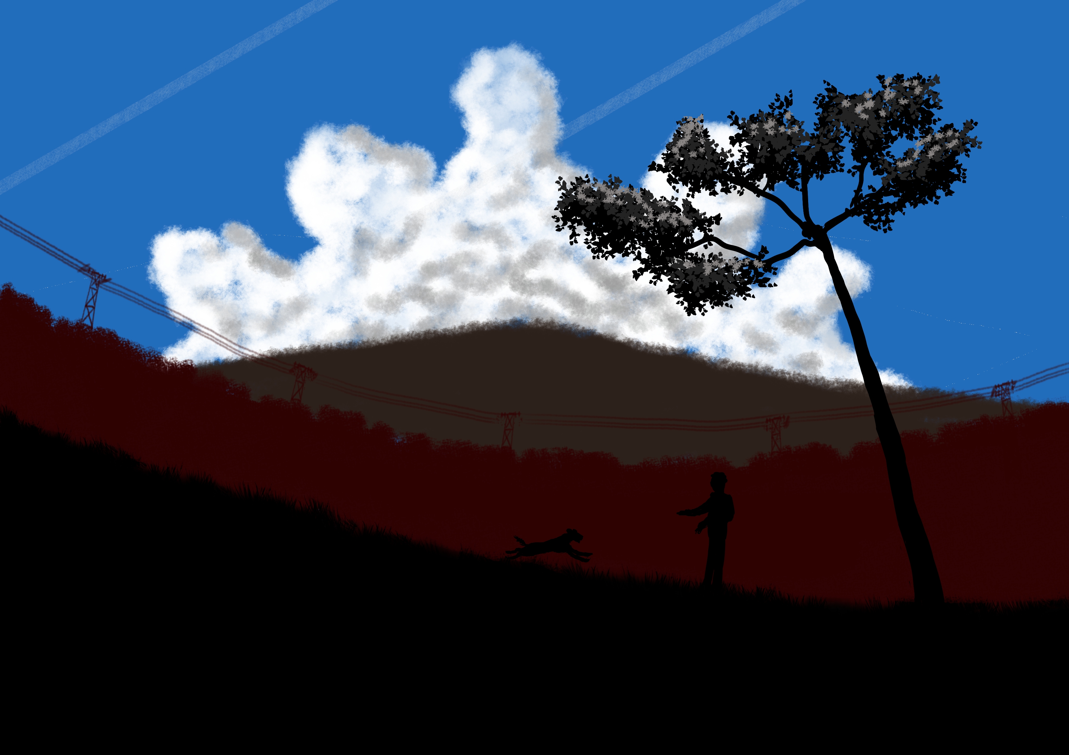 General 3508x2480 dog mountains trees clouds high voltage tower forest