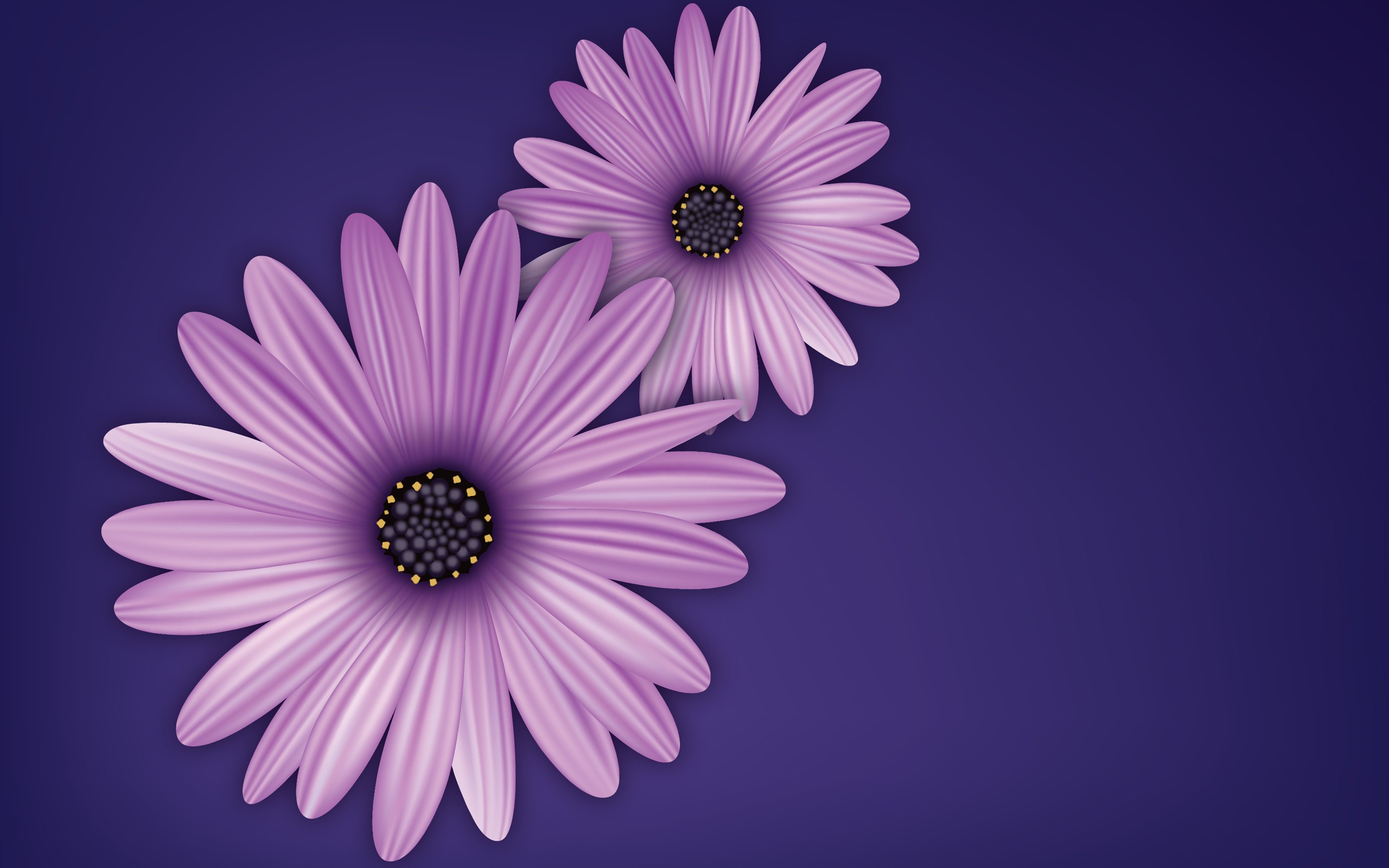 General 2560x1600 flowers purple vector digital art simple background purple background plants