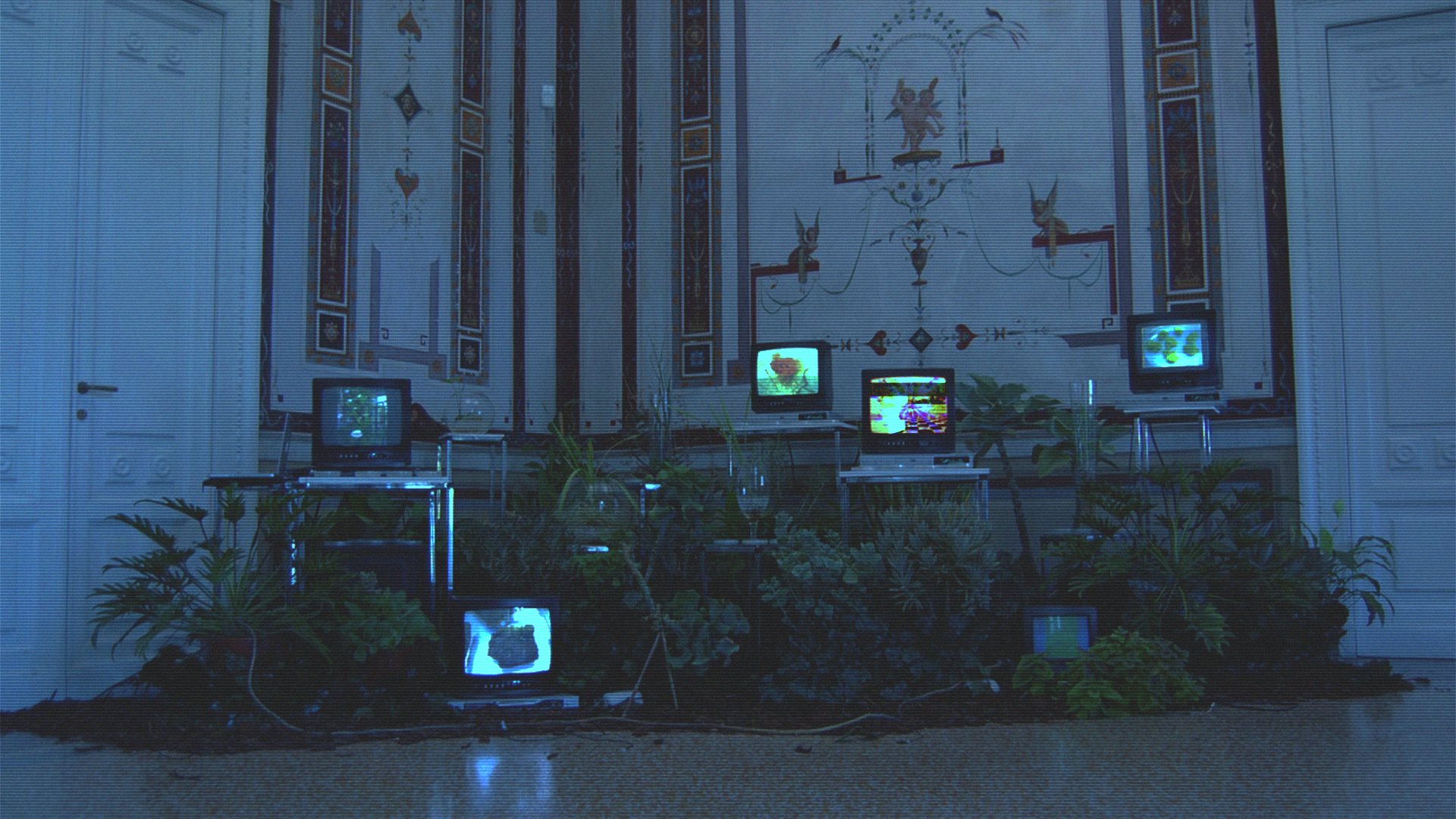 General 1920x1080 vaporwave VHS TV herbarium distortion indoors