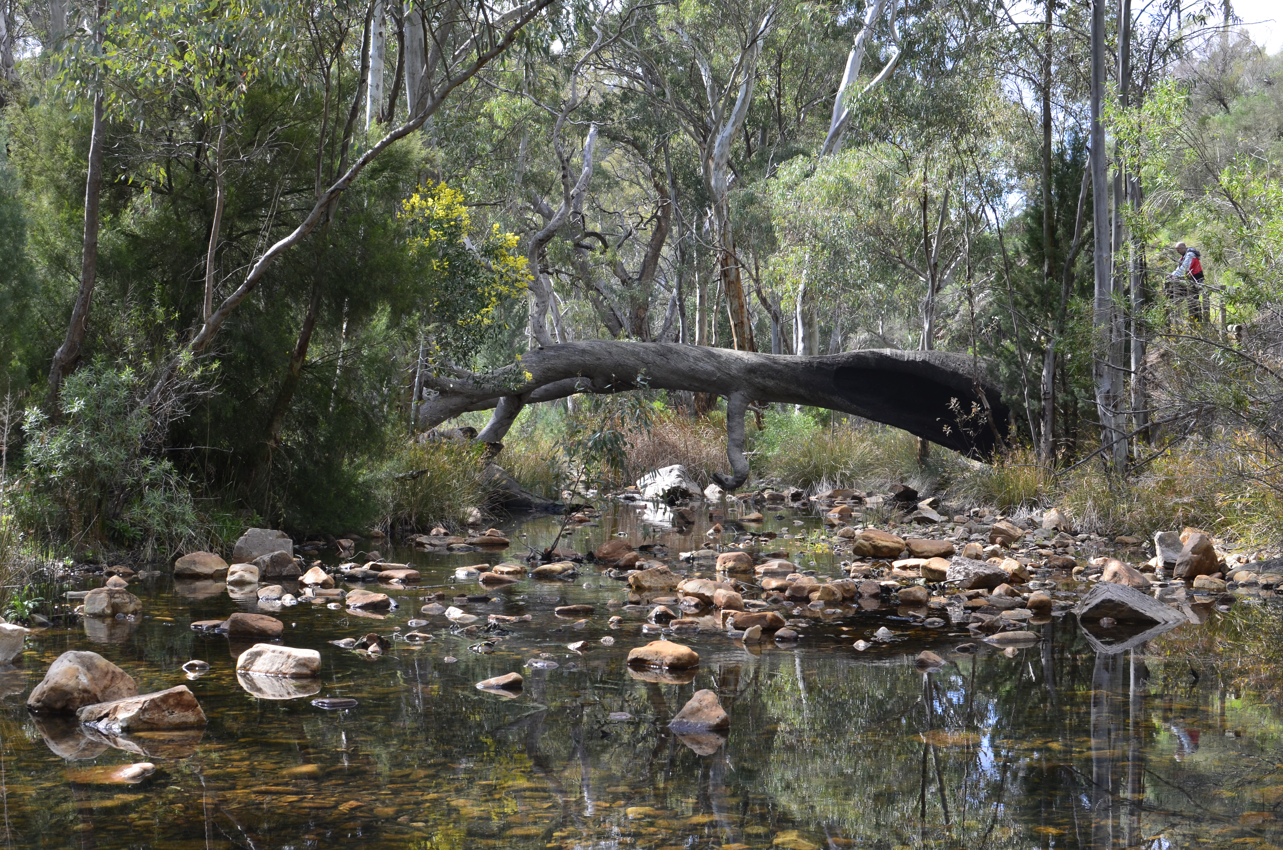 General 4928x3264 creeks water Mambray Creek Australia