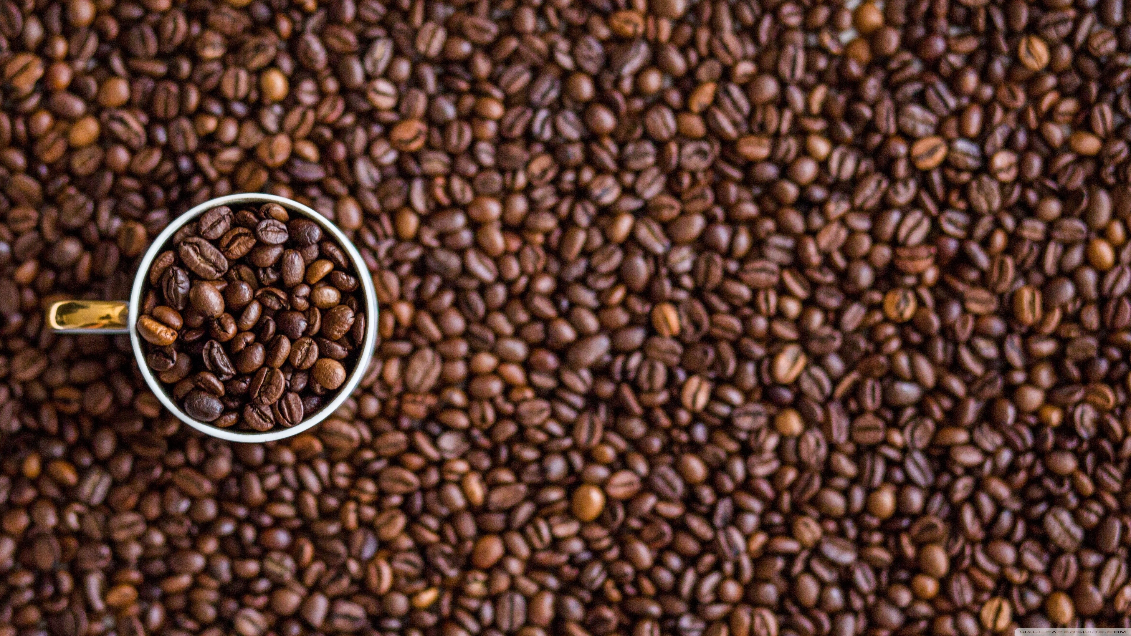 General 3840x2160 coffee macro cup closeup blurred