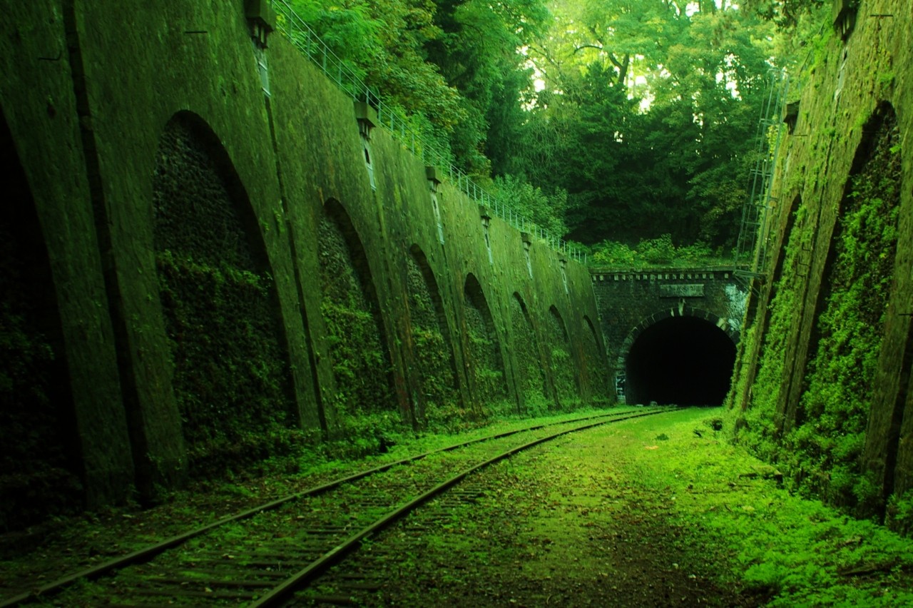 General 1280x852 abandoned railway tunnel green moss