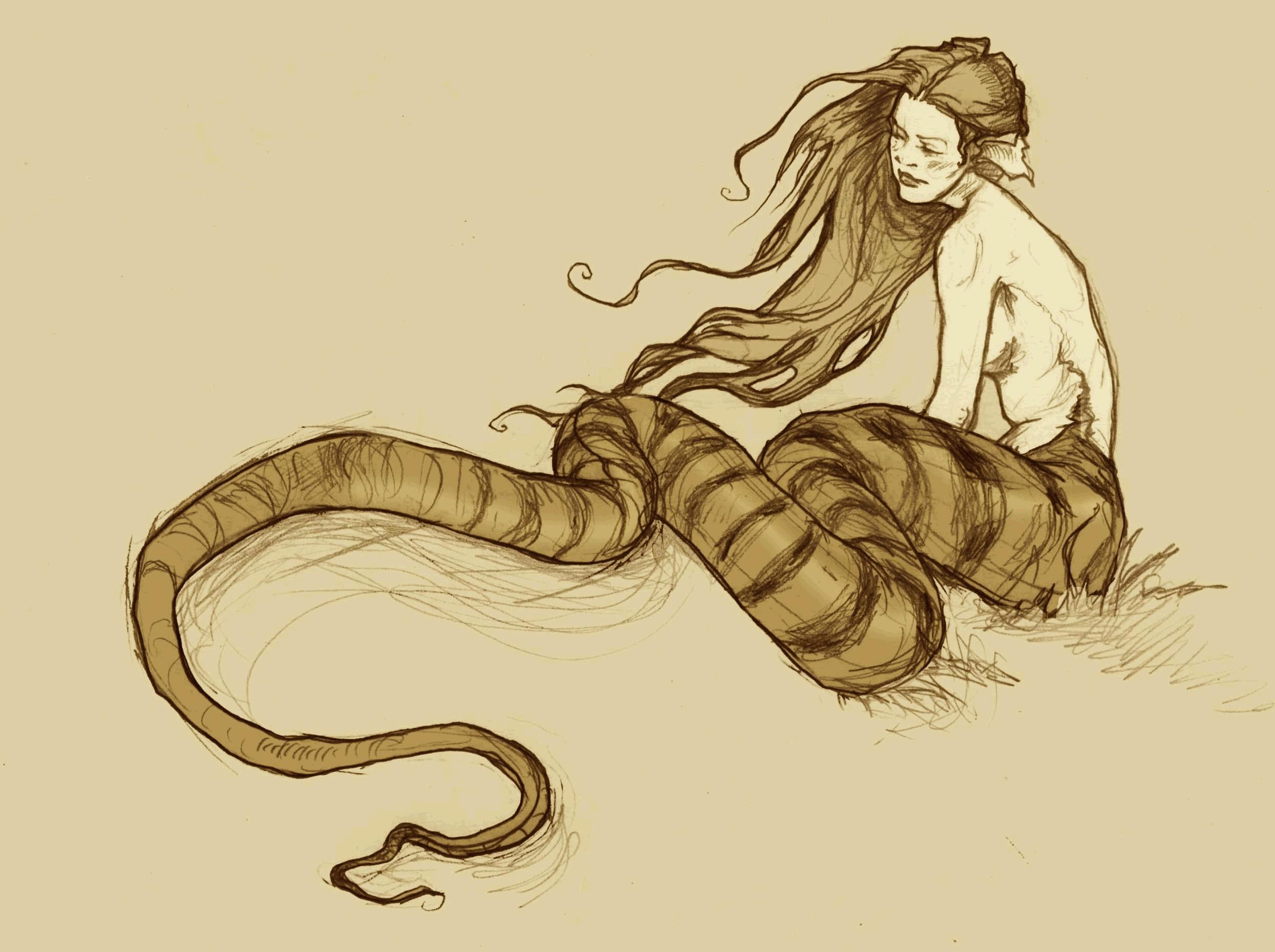 General 2490x1860 fantasy art Naga drawing fantasy girl creature women long hair simple background