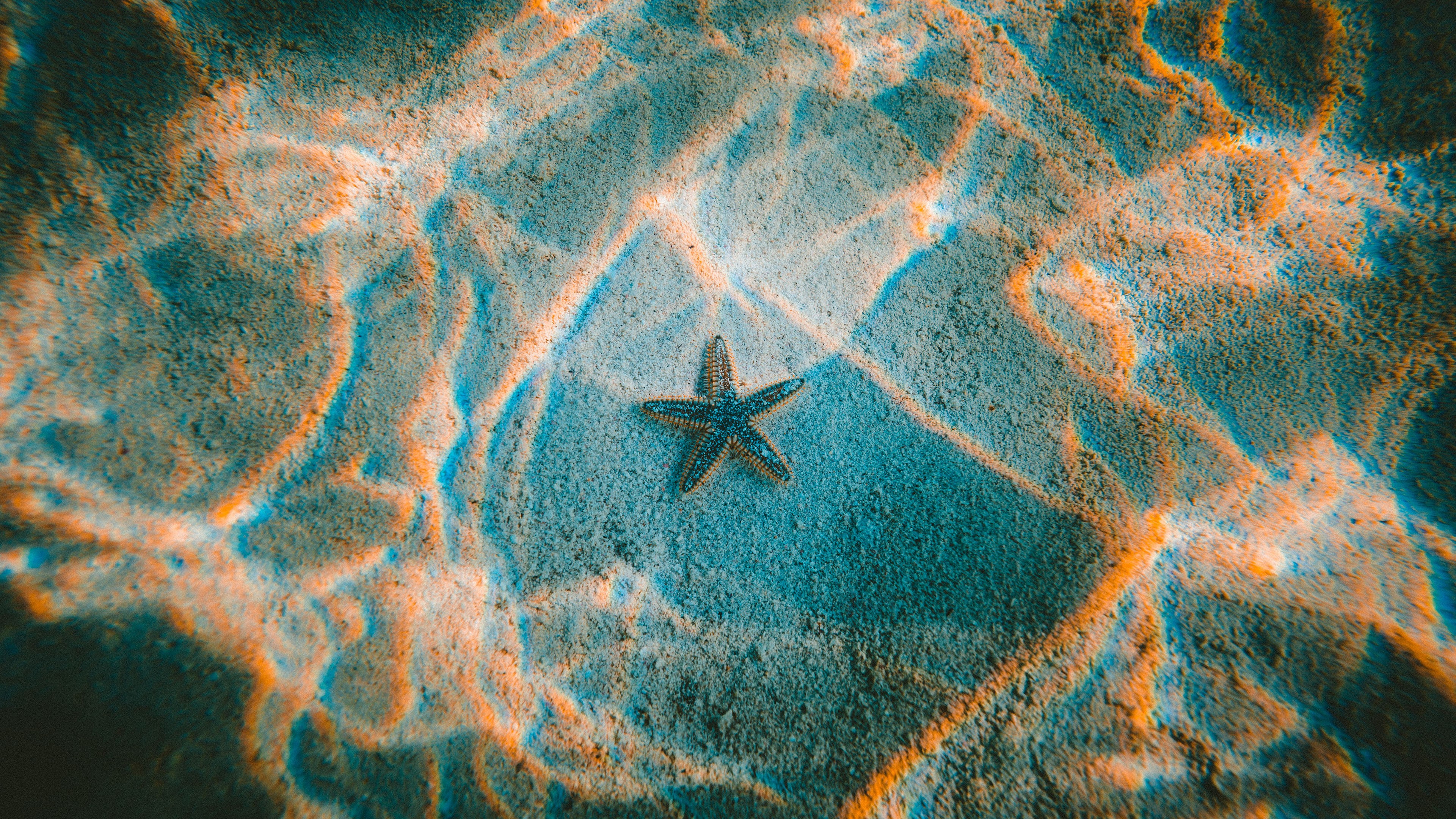 General 3840x2160 photography underwater sun rays waves natural light starfish Jakob Owens caustics