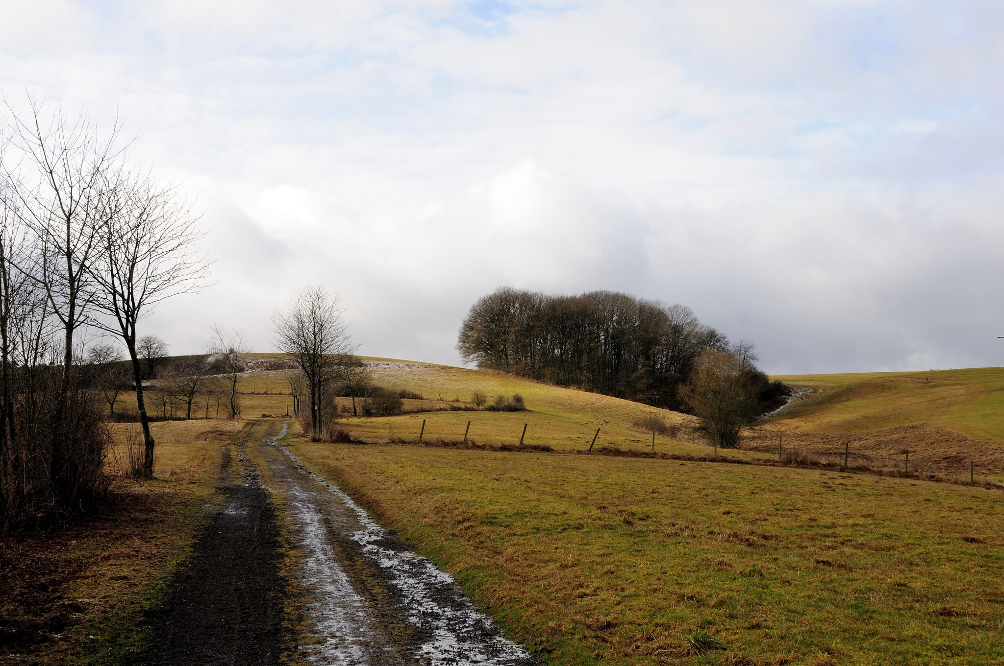 General 2048x1360 landscape dirt road nature field hills trees grass fence fall clouds brown