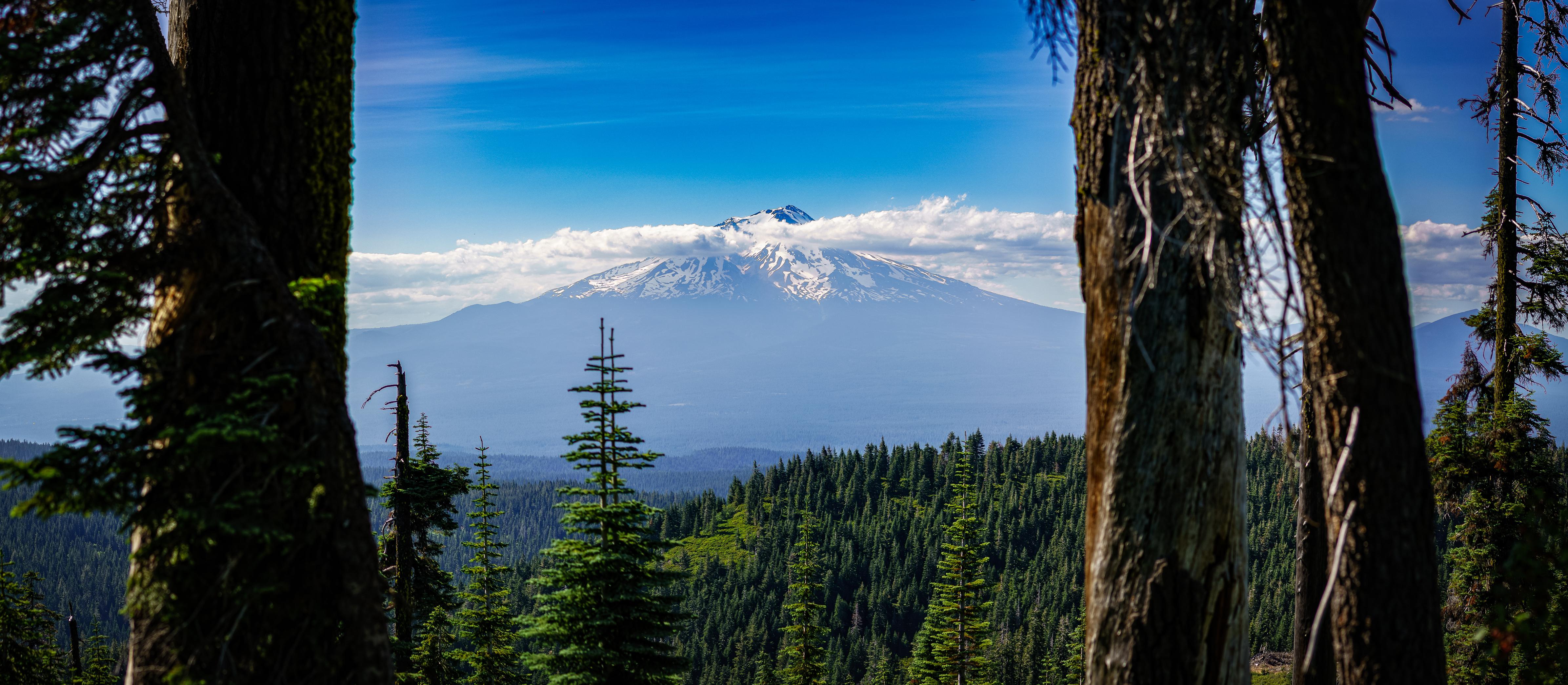 General 4782x2090 forest nature landscape California USA Mount Shasta trees clouds mountains