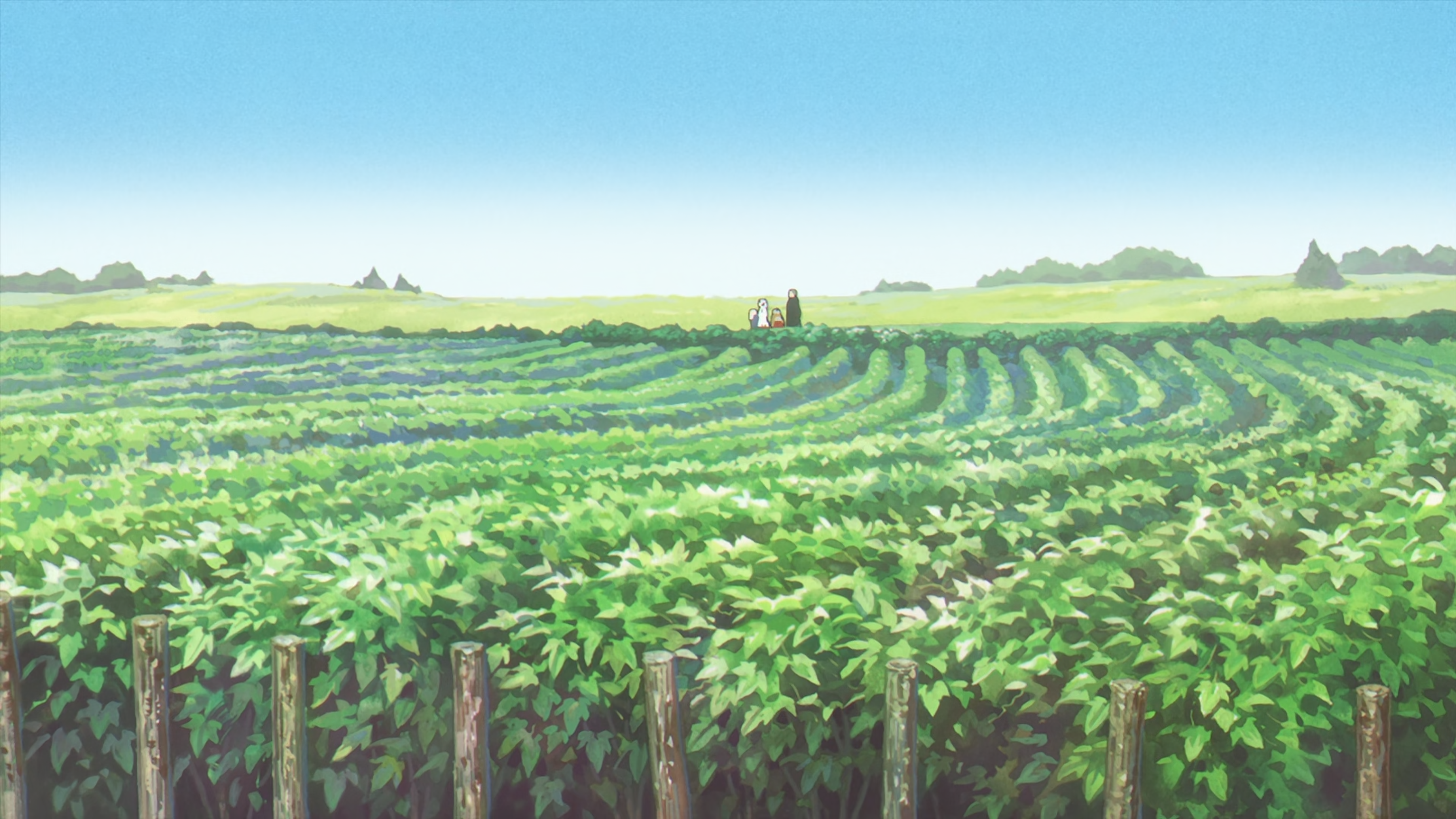 Anime 3070x1728 Sousou No Frieren anime Anime screenshot field leaves sky green