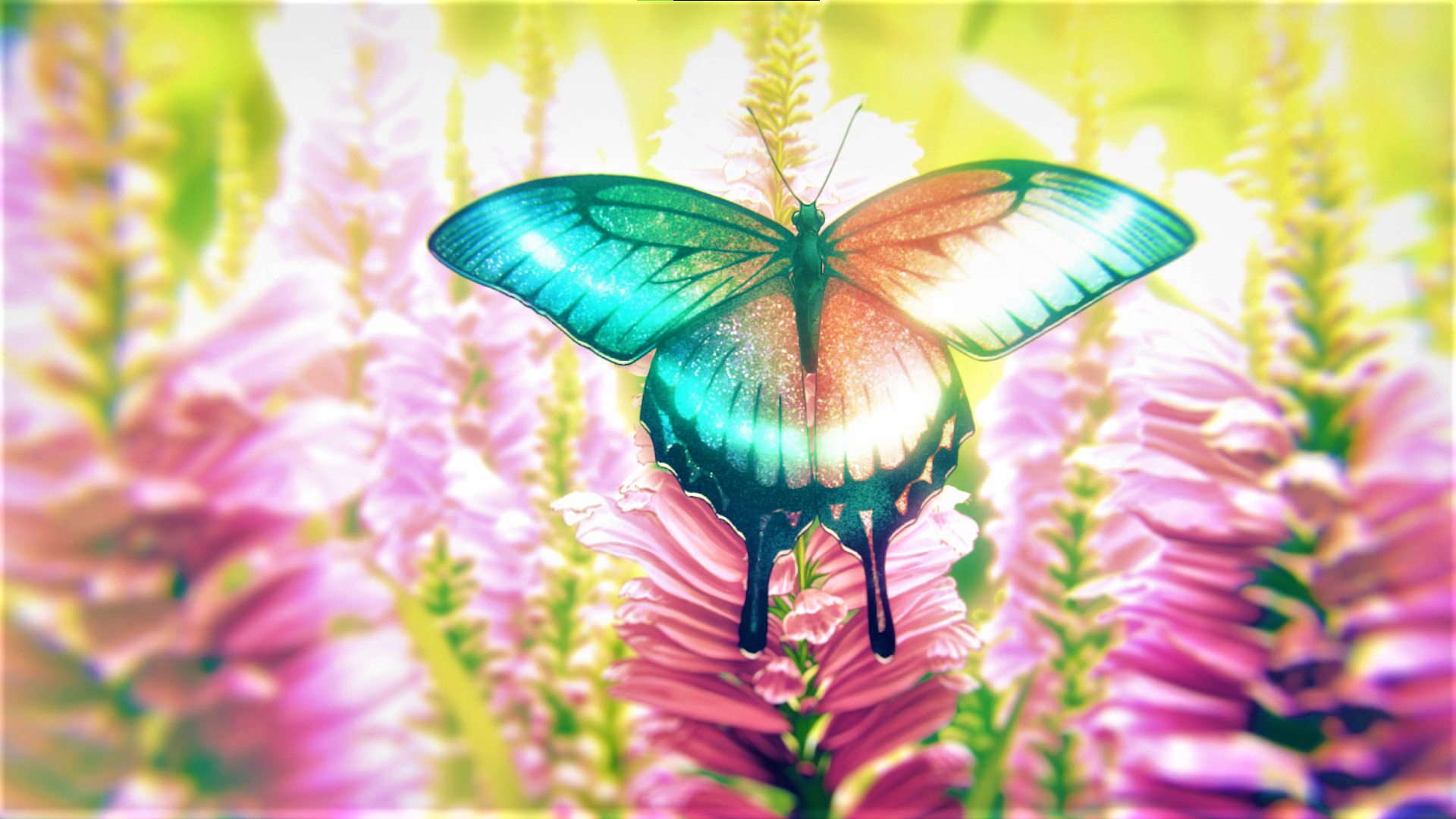 Anime 1920x1080 Jujutsu Kaisen butterfly flowers sunlight anime Anime screenshot insect colorful