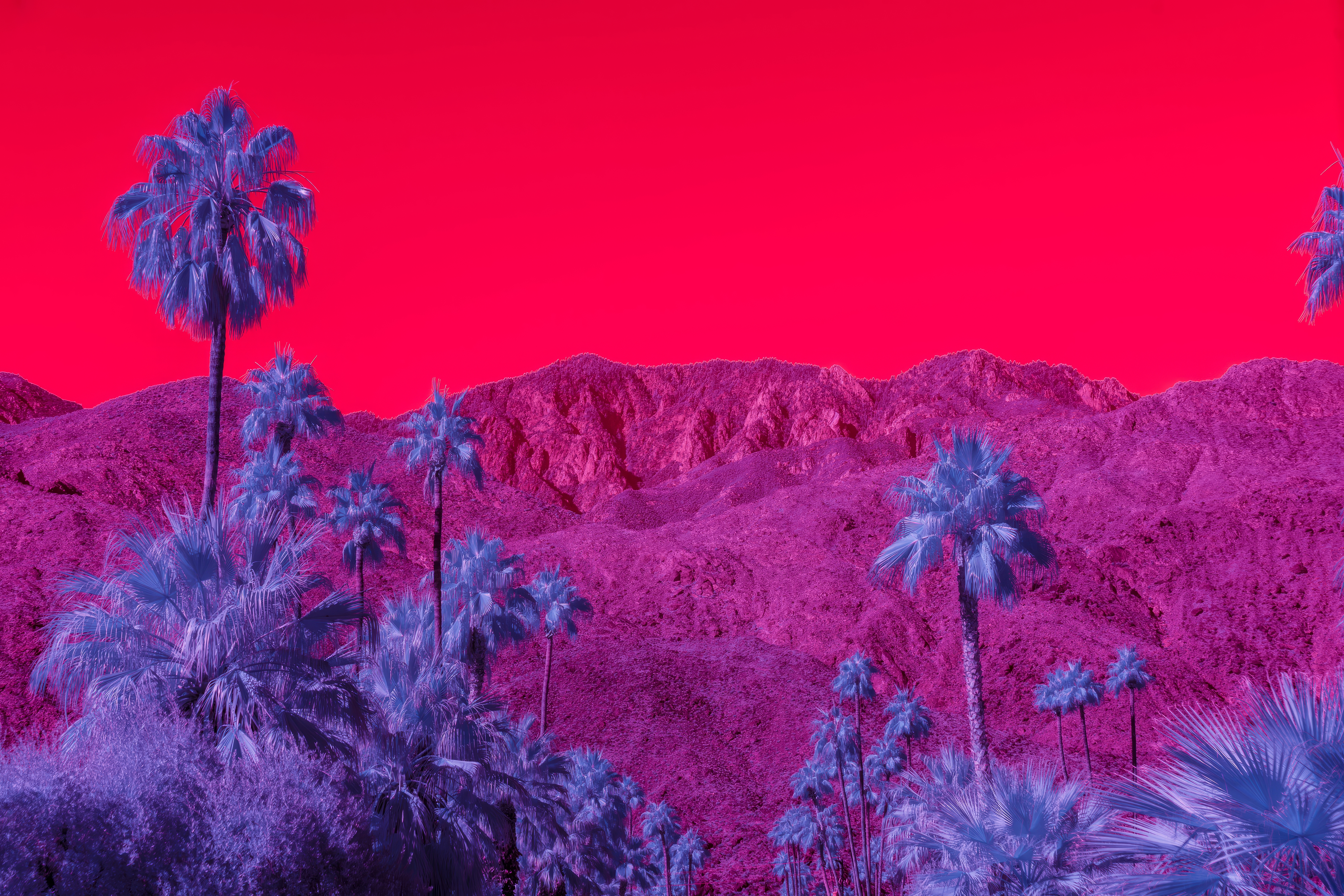 General 4728x3154 surreal infrared palm trees mountains red blue bright pink