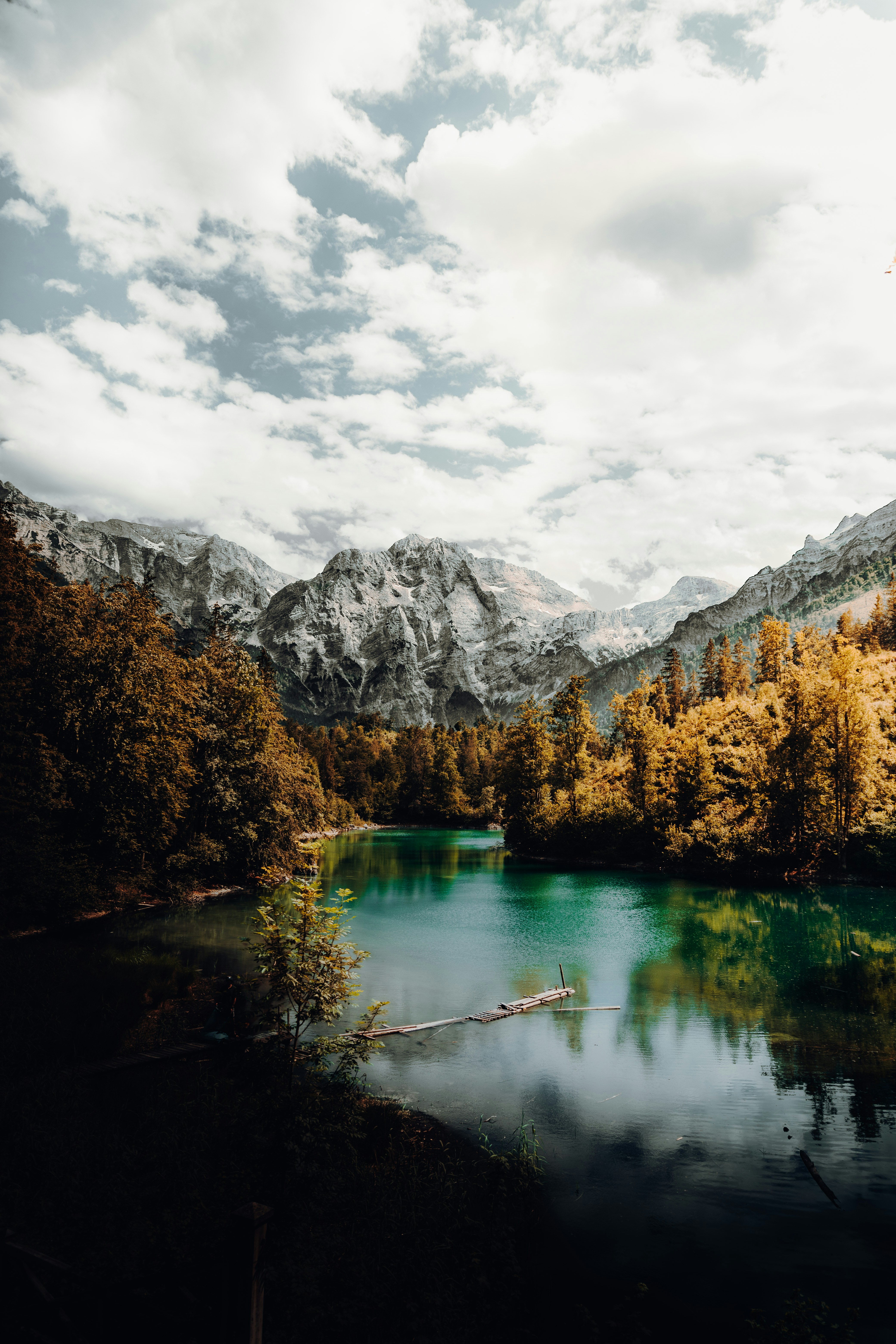 General 4160x6240 nature landscape trees mountains clouds river water fall forest snow plants Austria spring