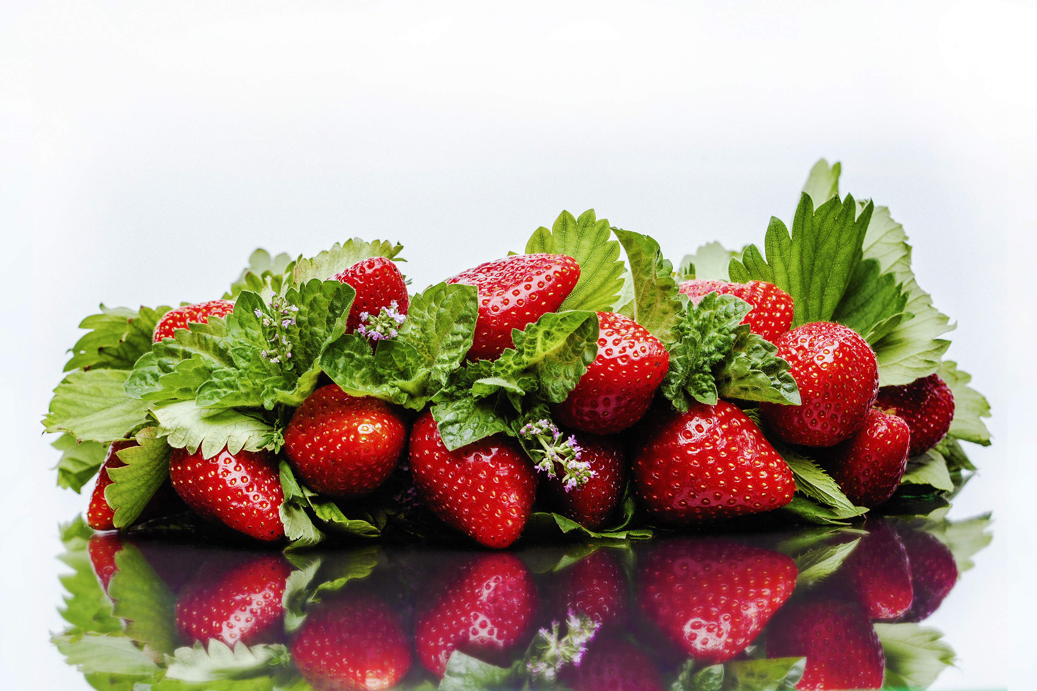 General 3500x2333 Evgen Dohtiev food strawberries fruit reflection white background simple background closeup