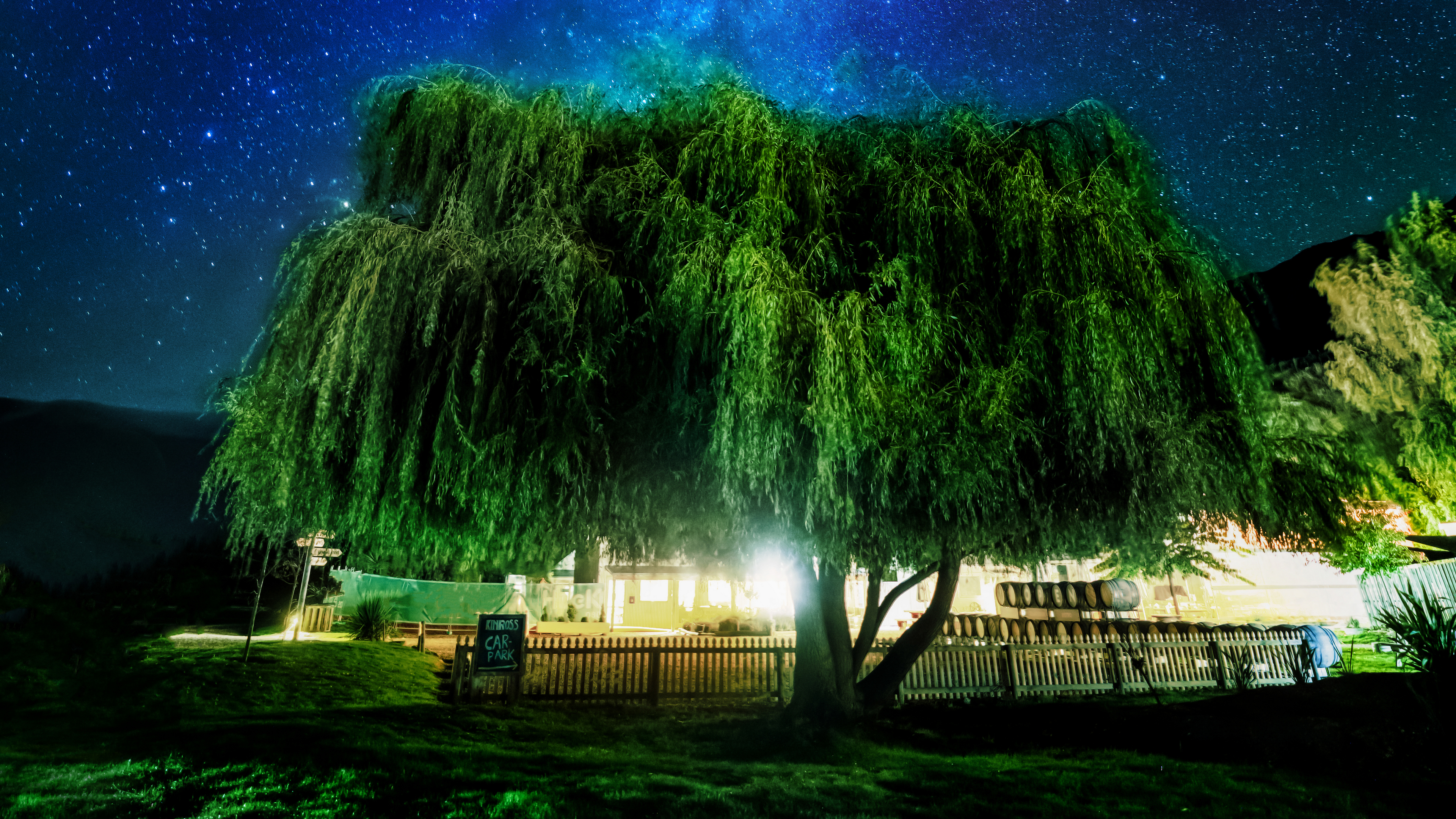 General 3840x2160 landscape New Zealand nature trees sky stars night starry night